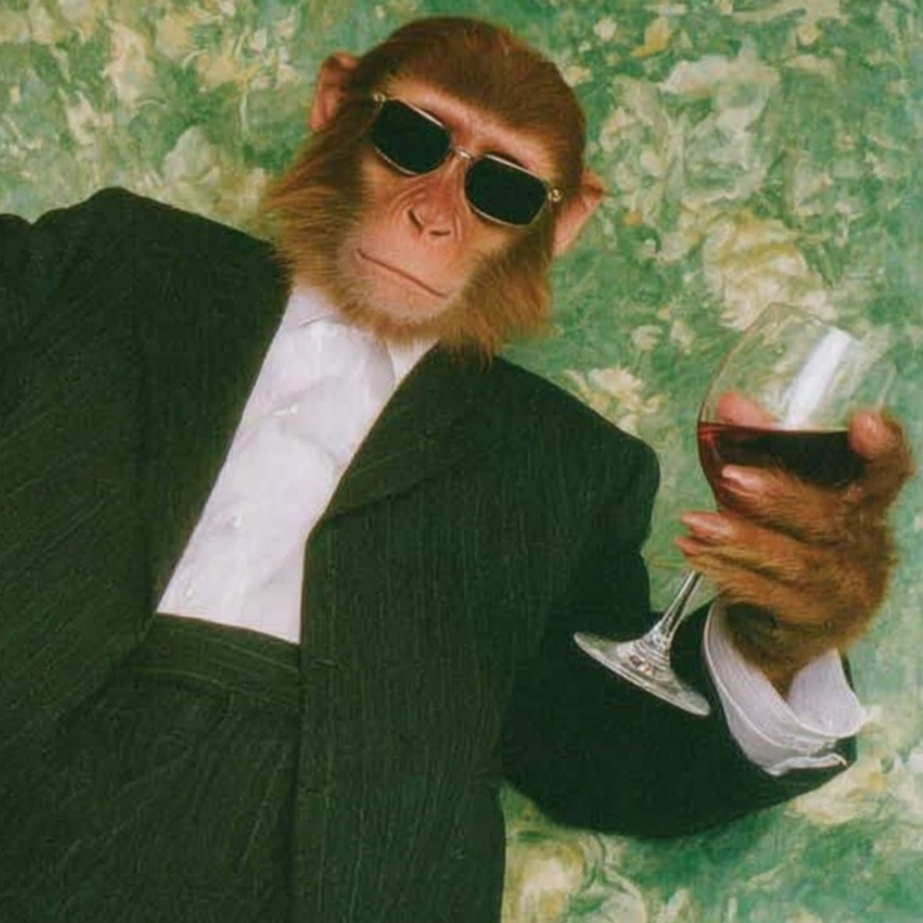 몽키티라노의 아이스박스