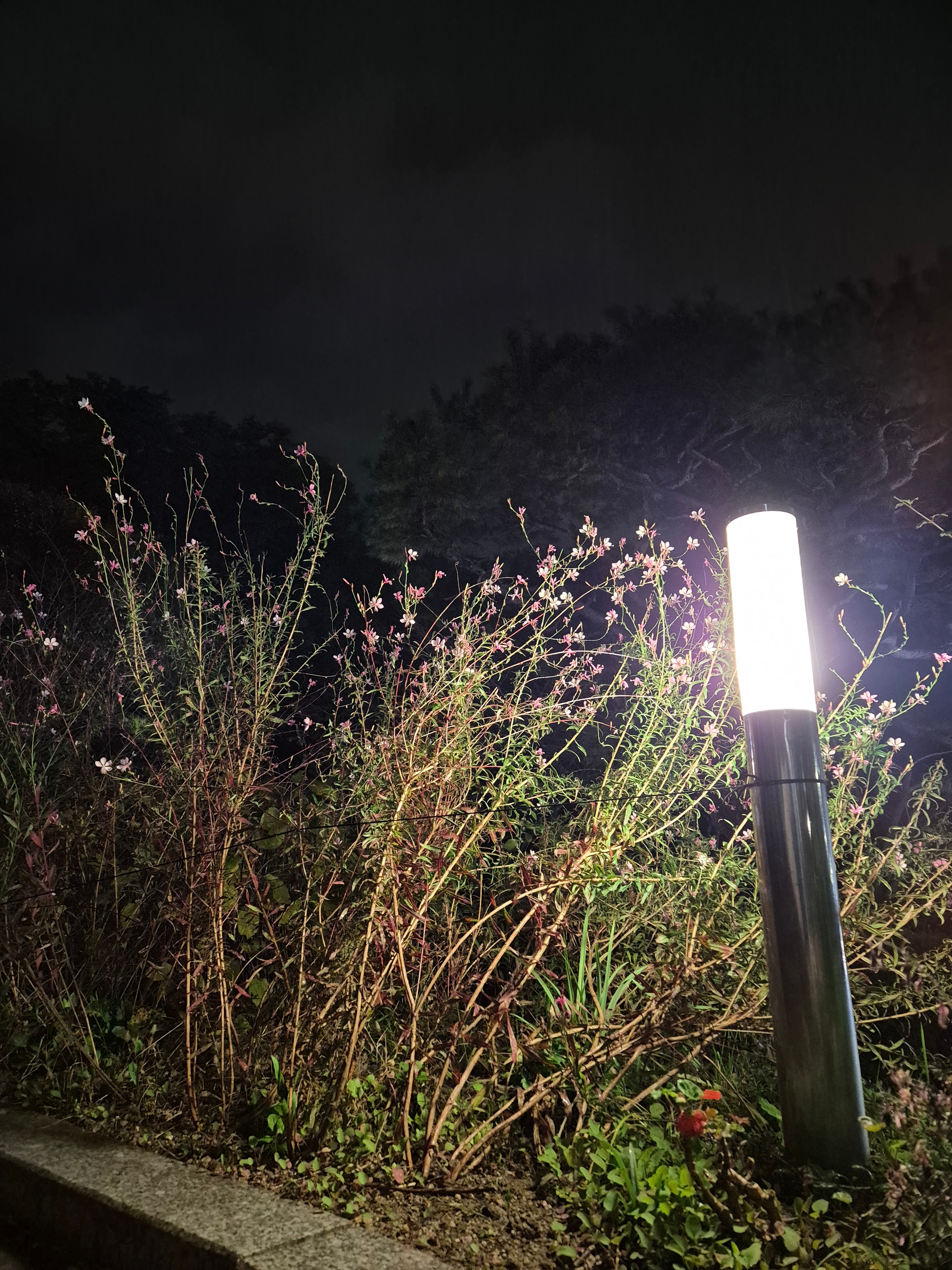 마음을 잇는 북타로