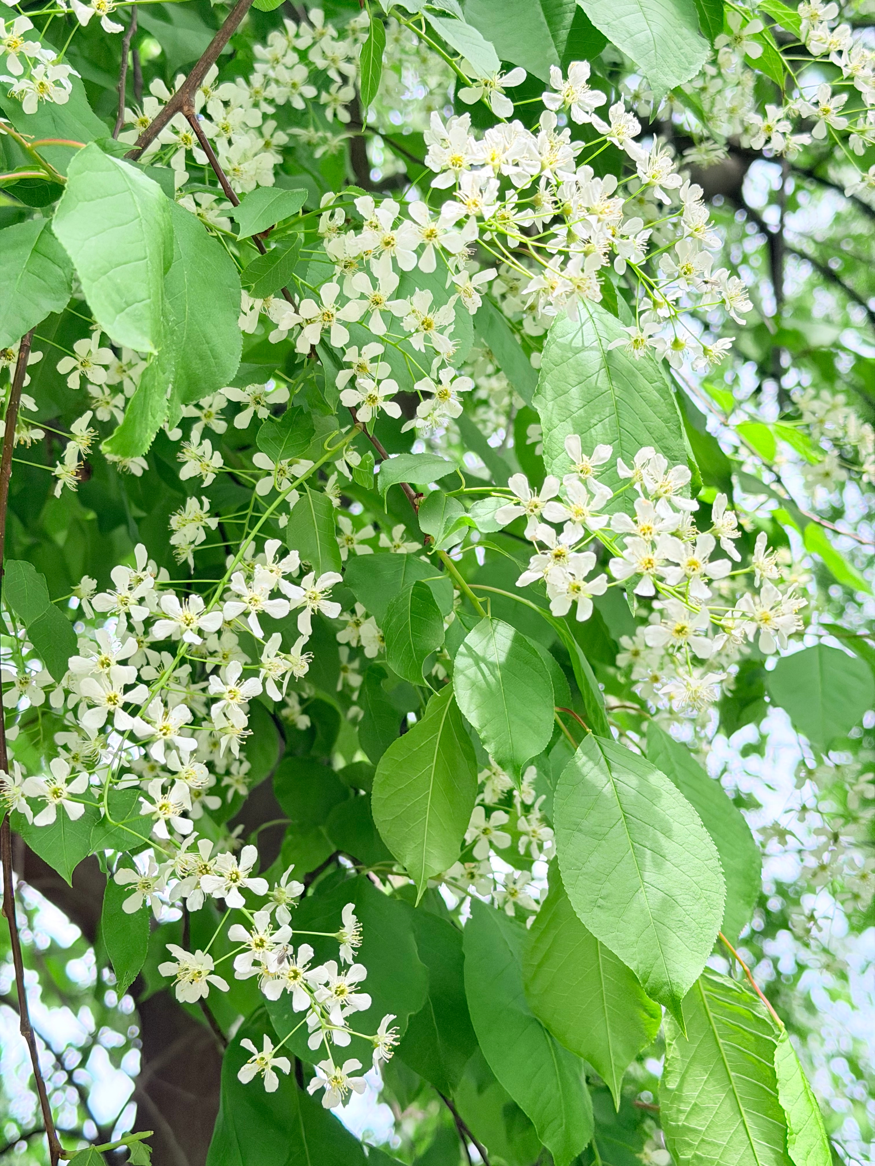 오숙경