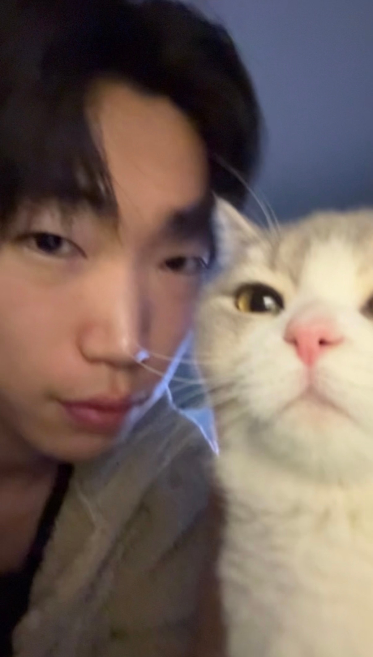 김무래기