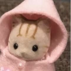 앗쁘