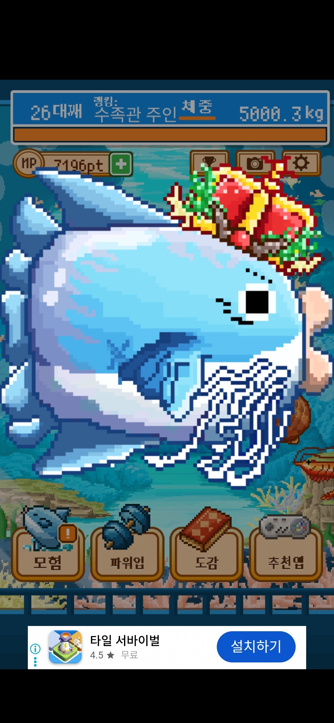 조나단 갈매기살