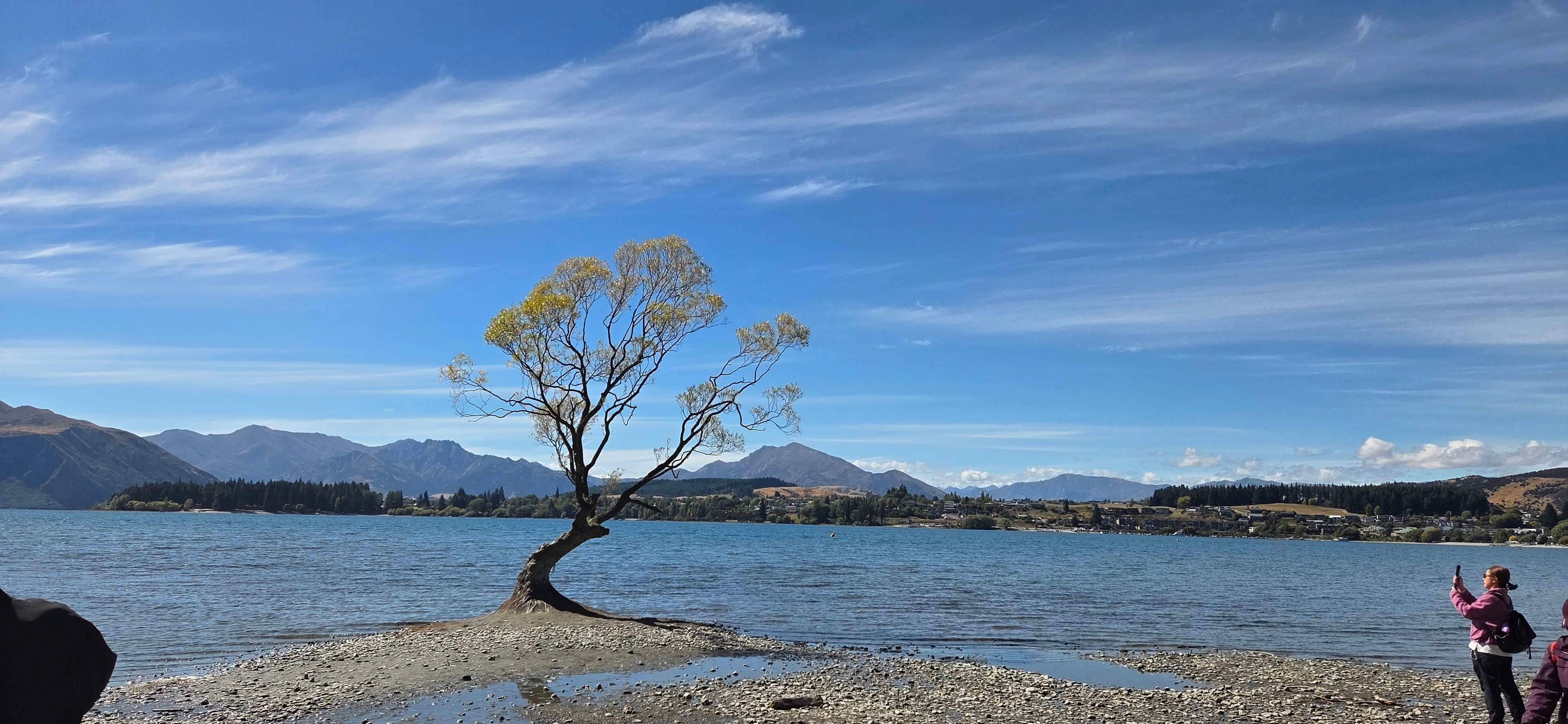지코크리스타리