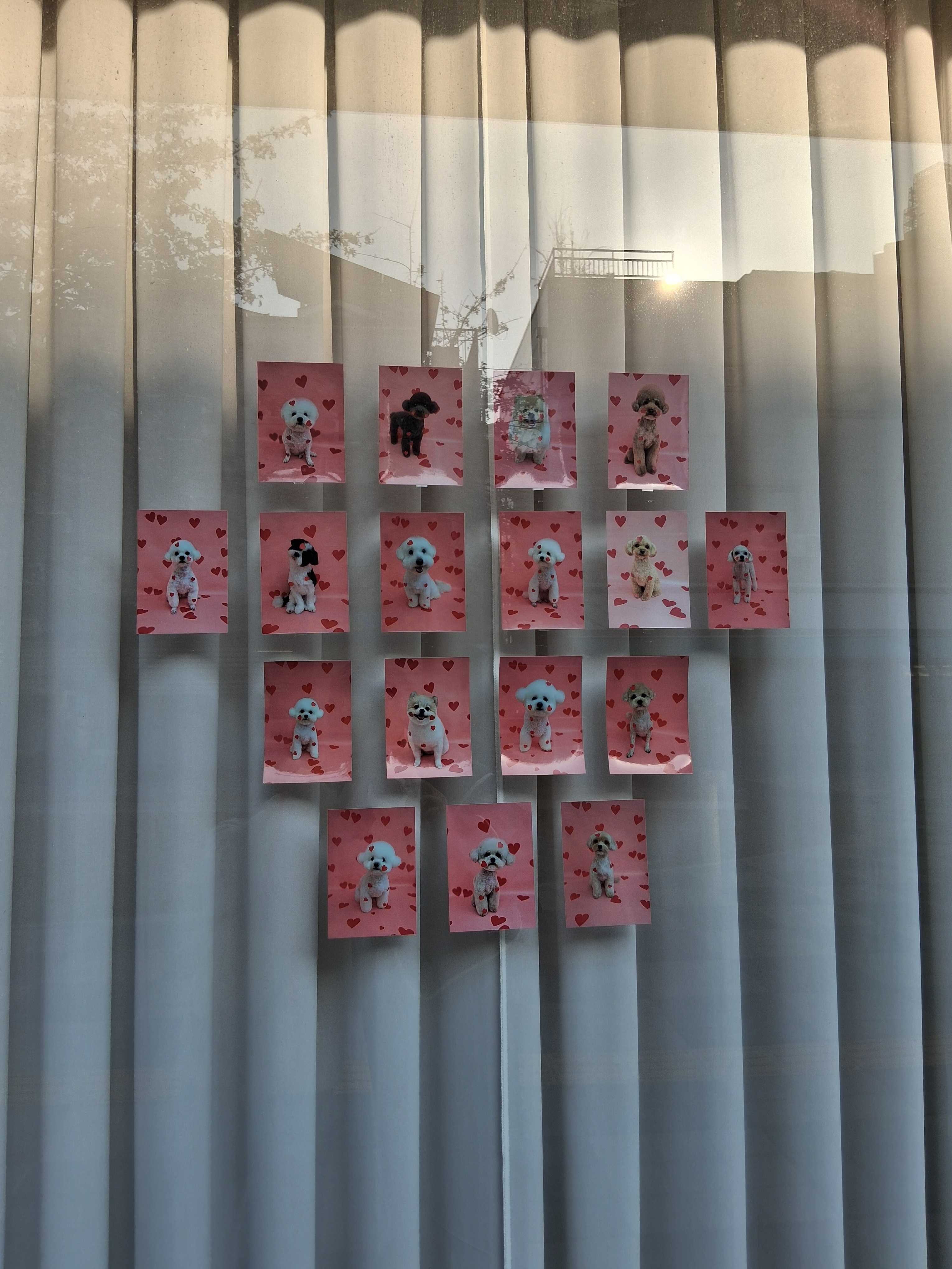 내가 좋아하는 동물은 리트리버