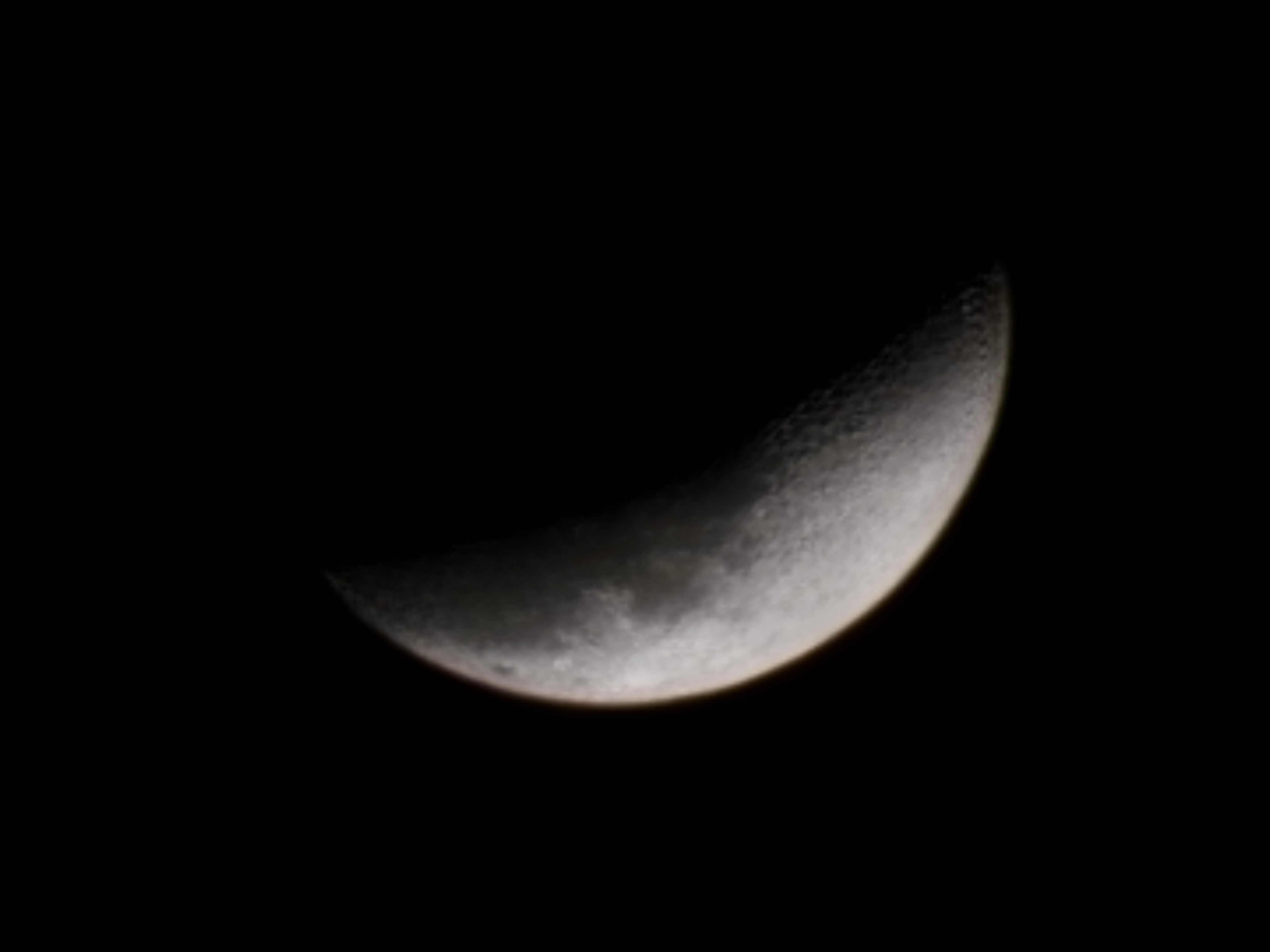 결정은 내가 하는거야