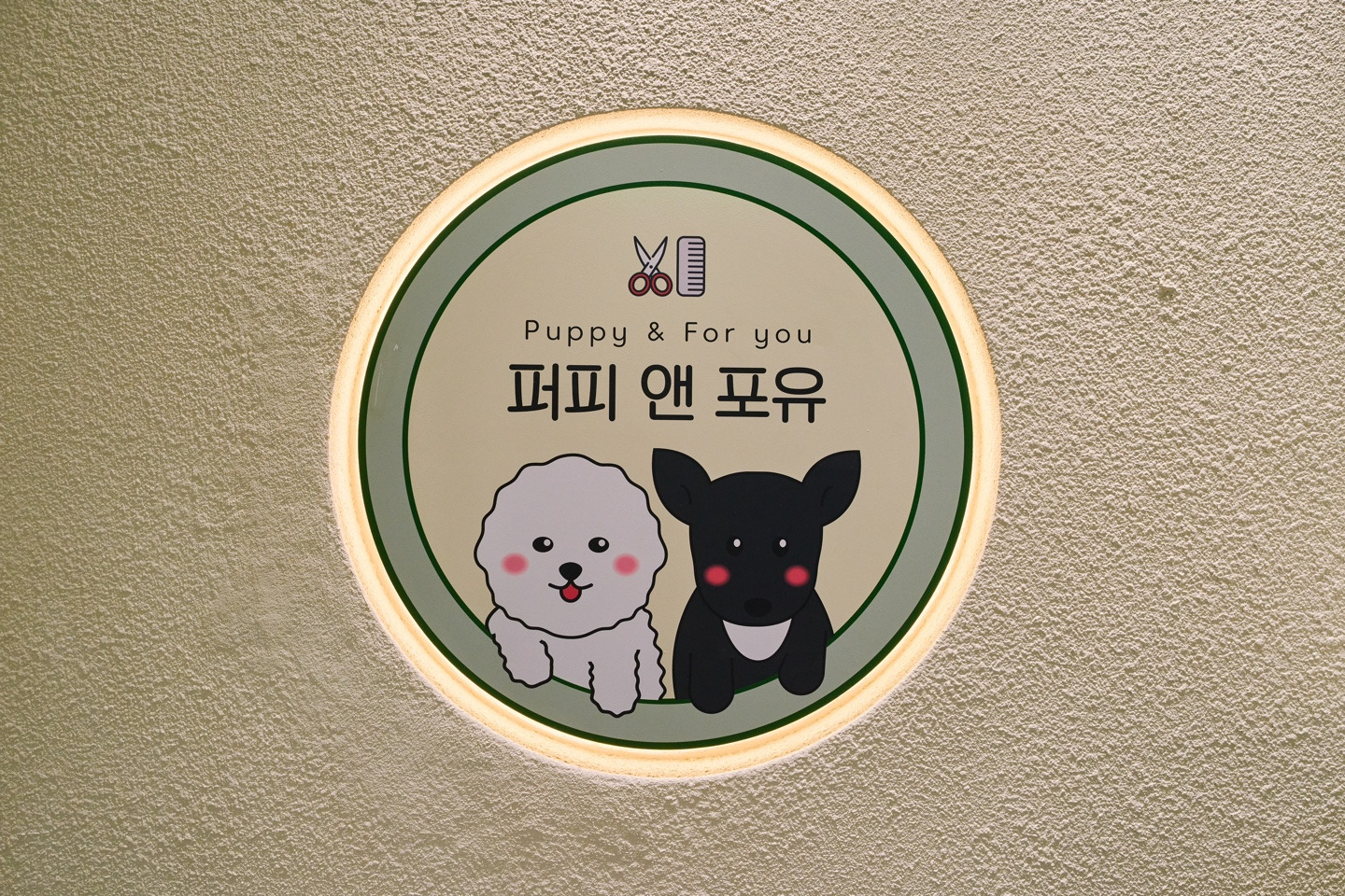 퍼피 앤 포유