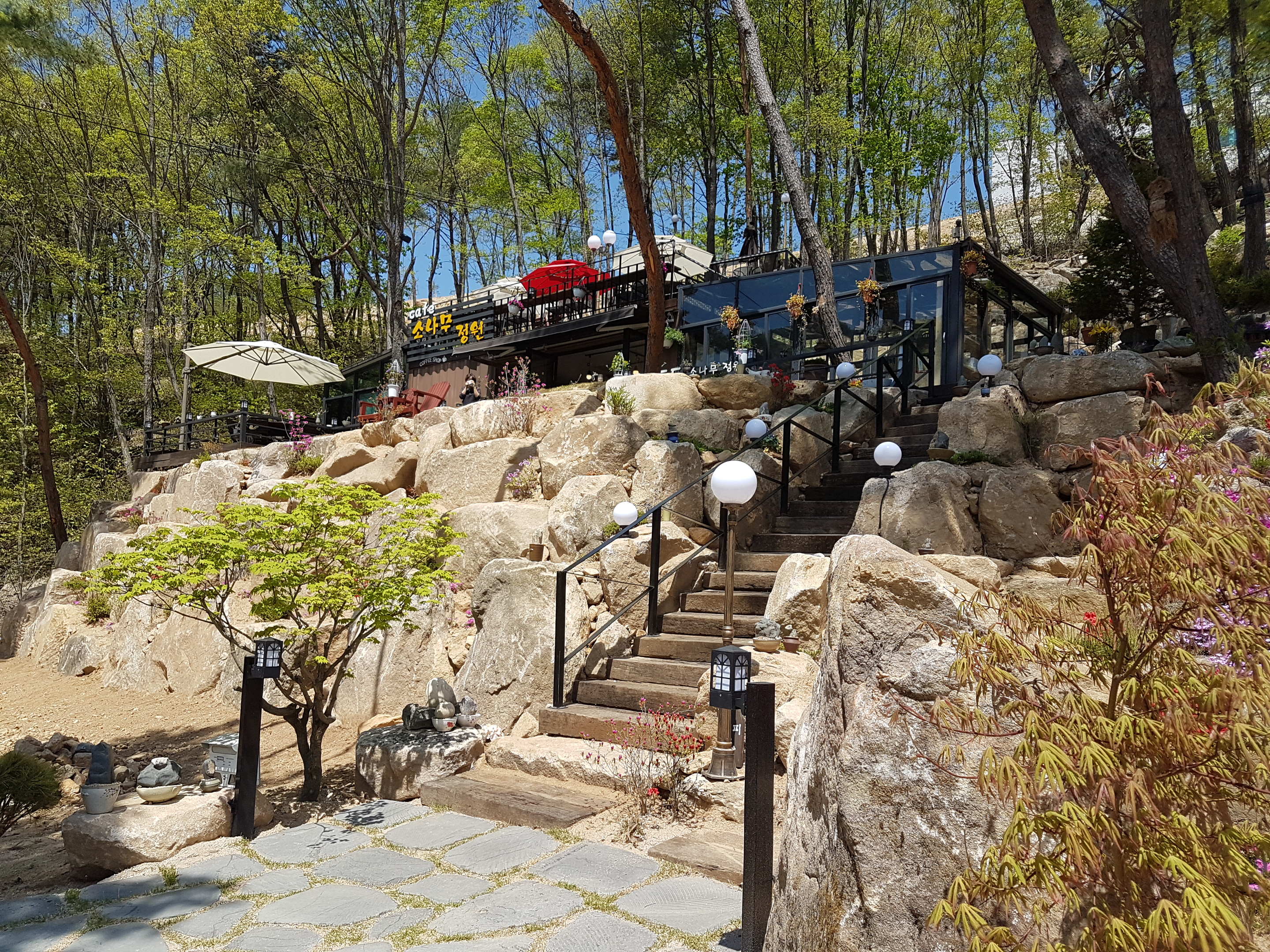 소나무정원화덕피자 이미지