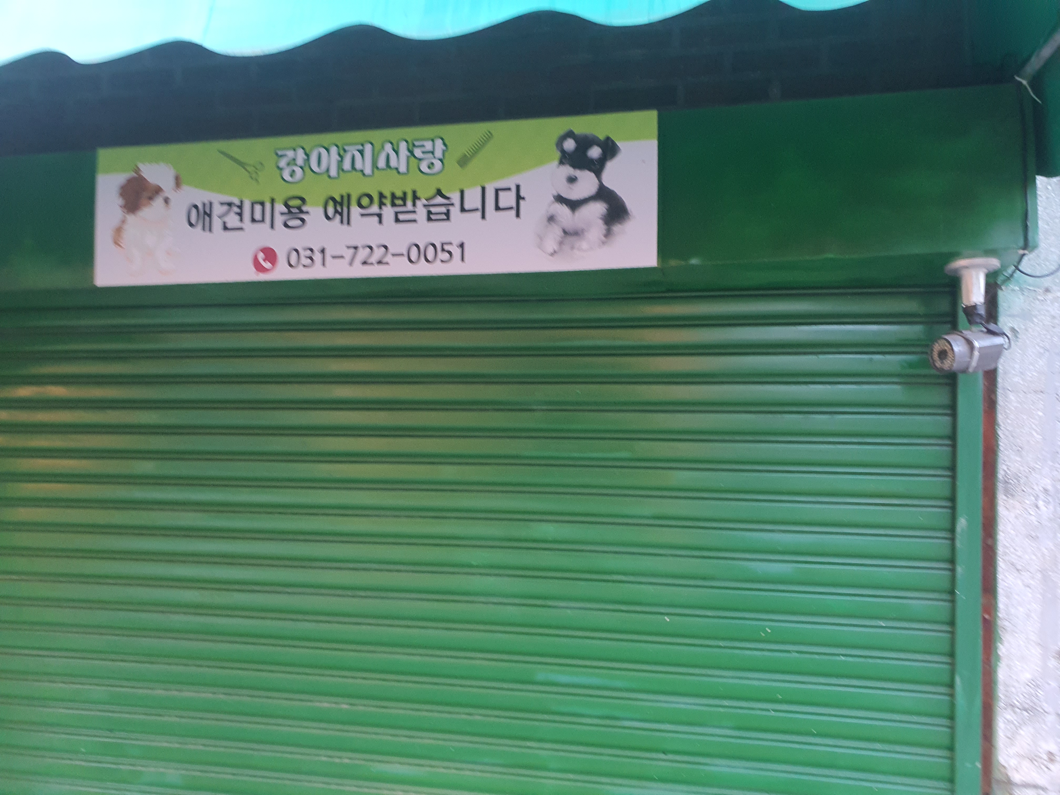 강아지사랑