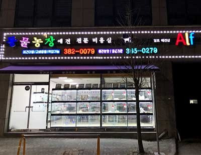 동물농장 애견전문 미용실