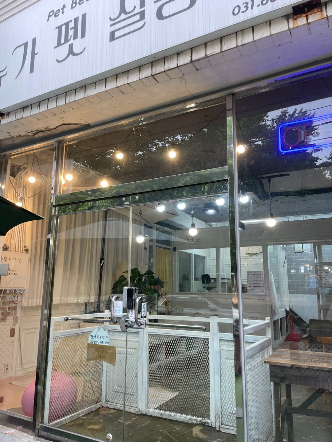 슈가 펫살롱