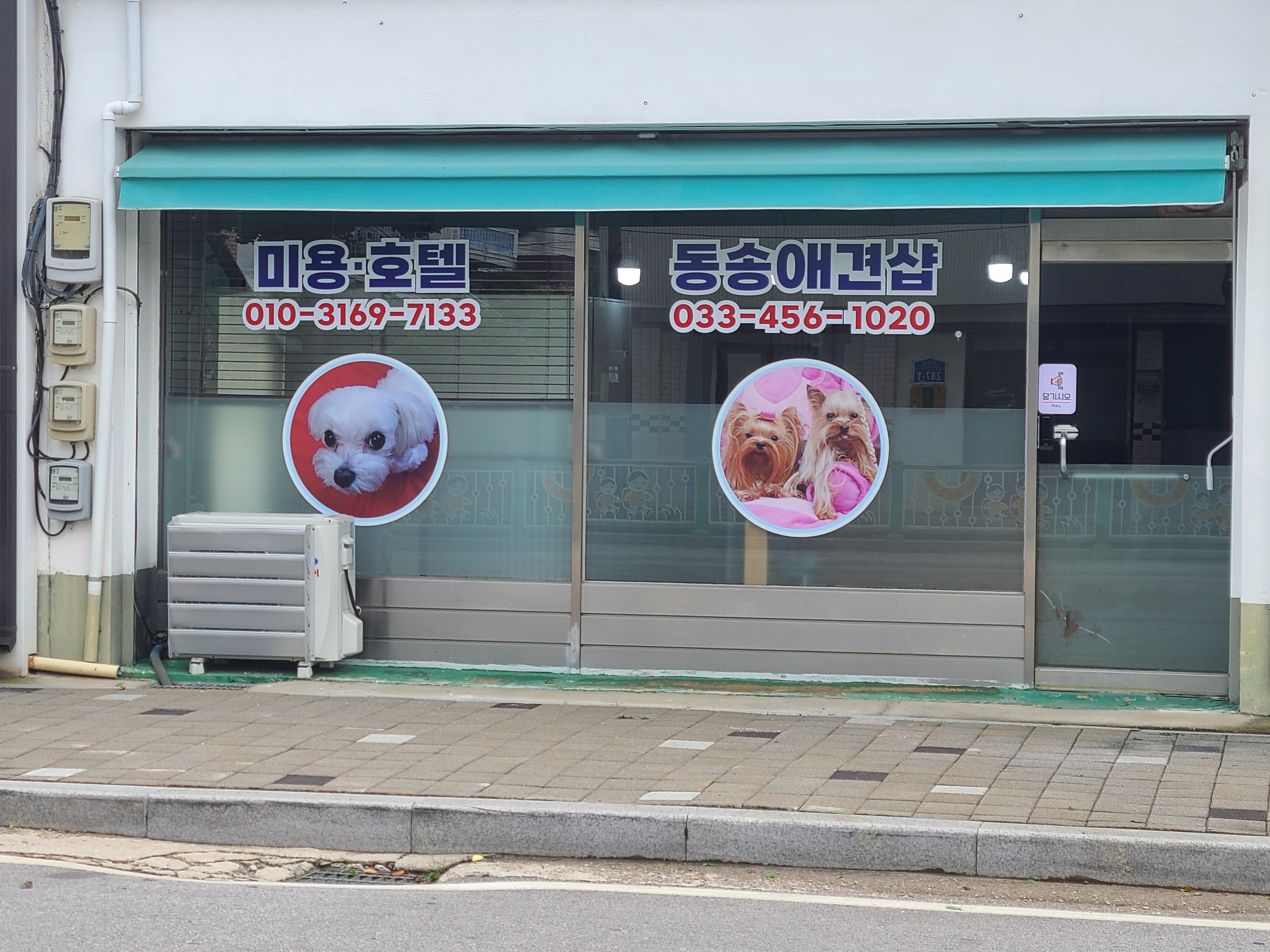 동송애견샵