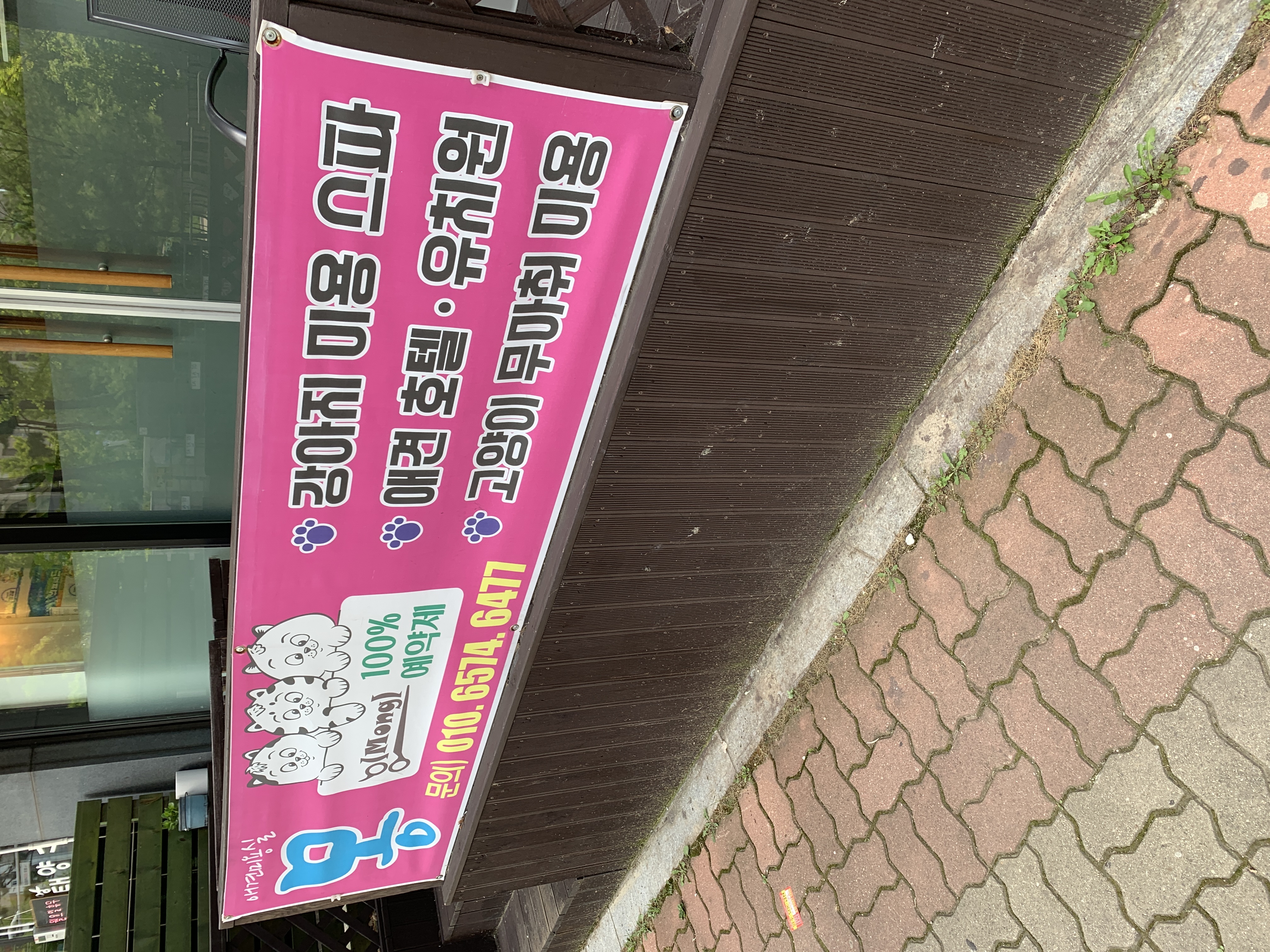 애견미용실 몽