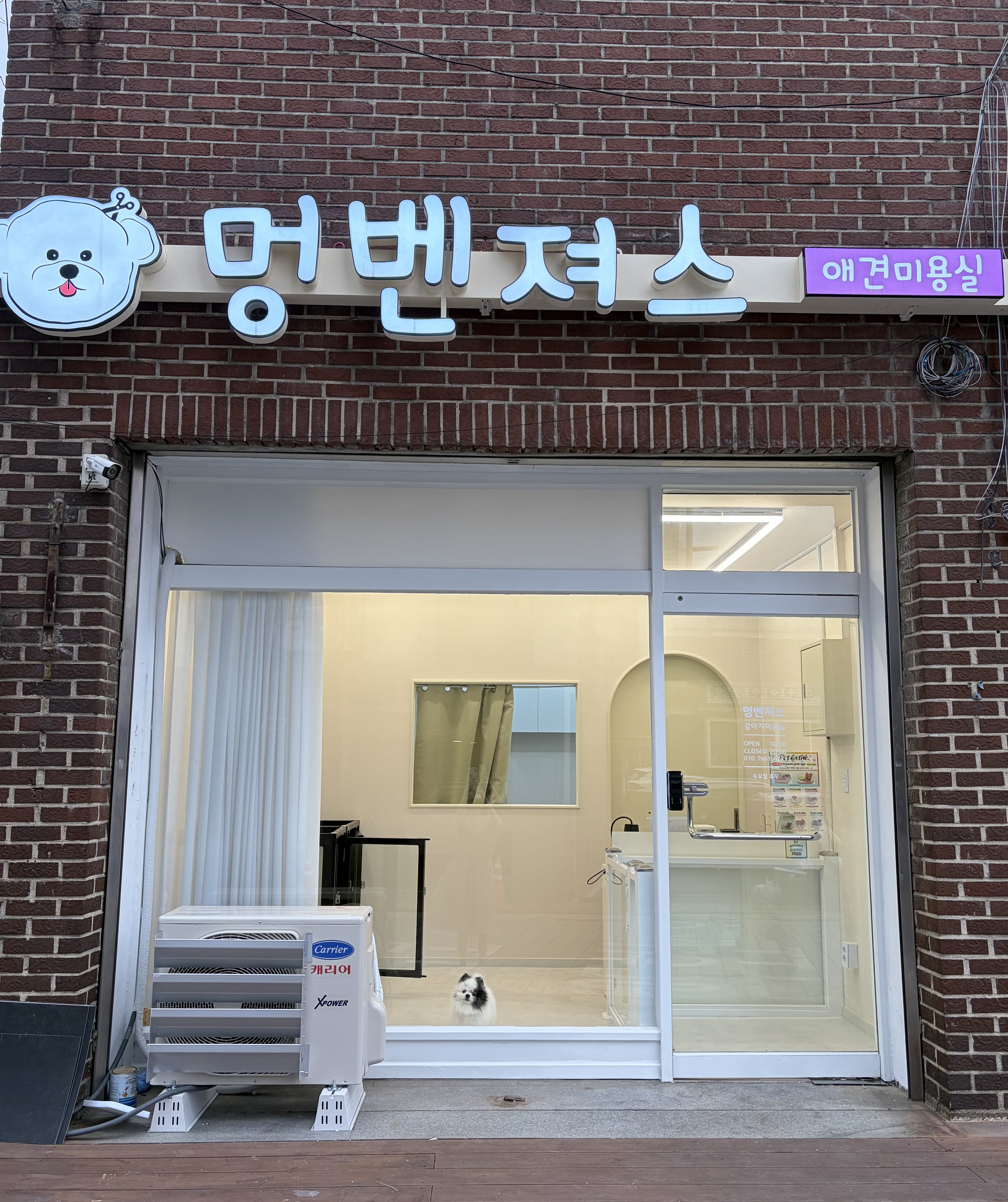 멍벤져스