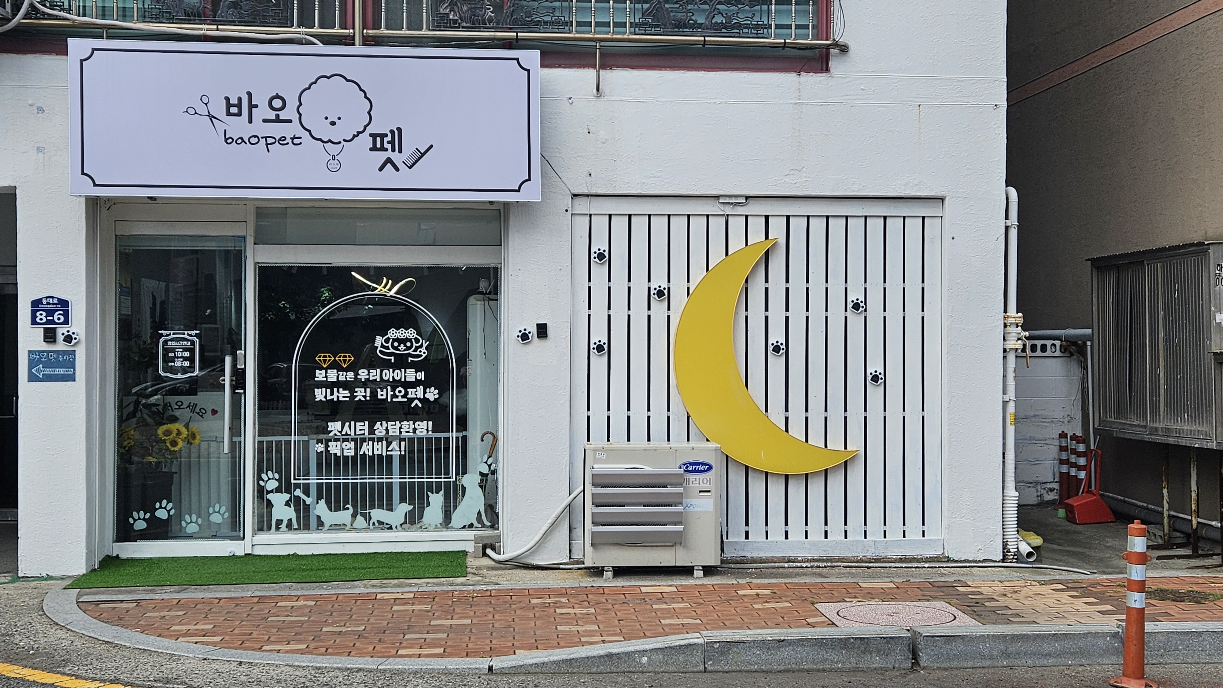 바오펫