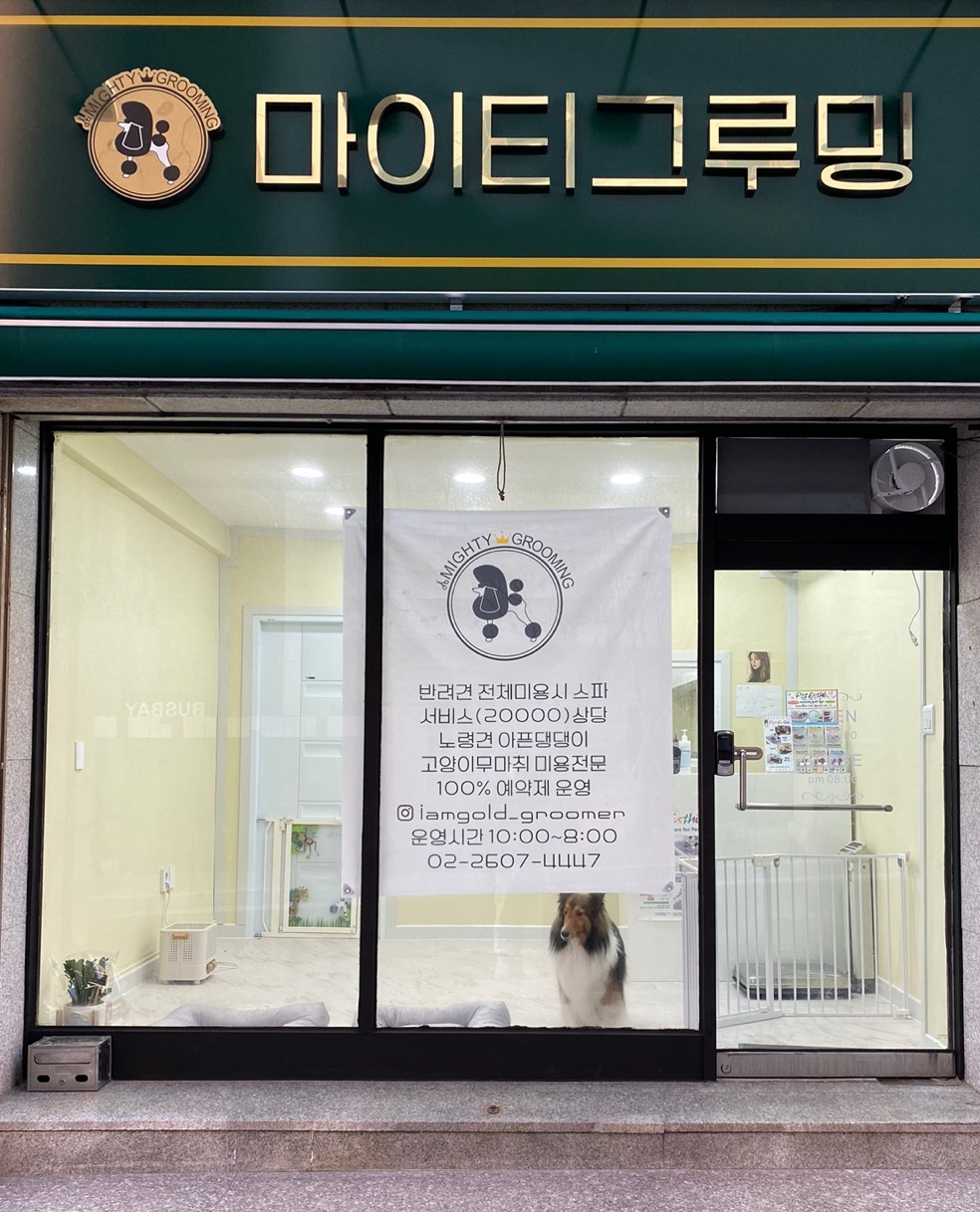 마이티 그루밍