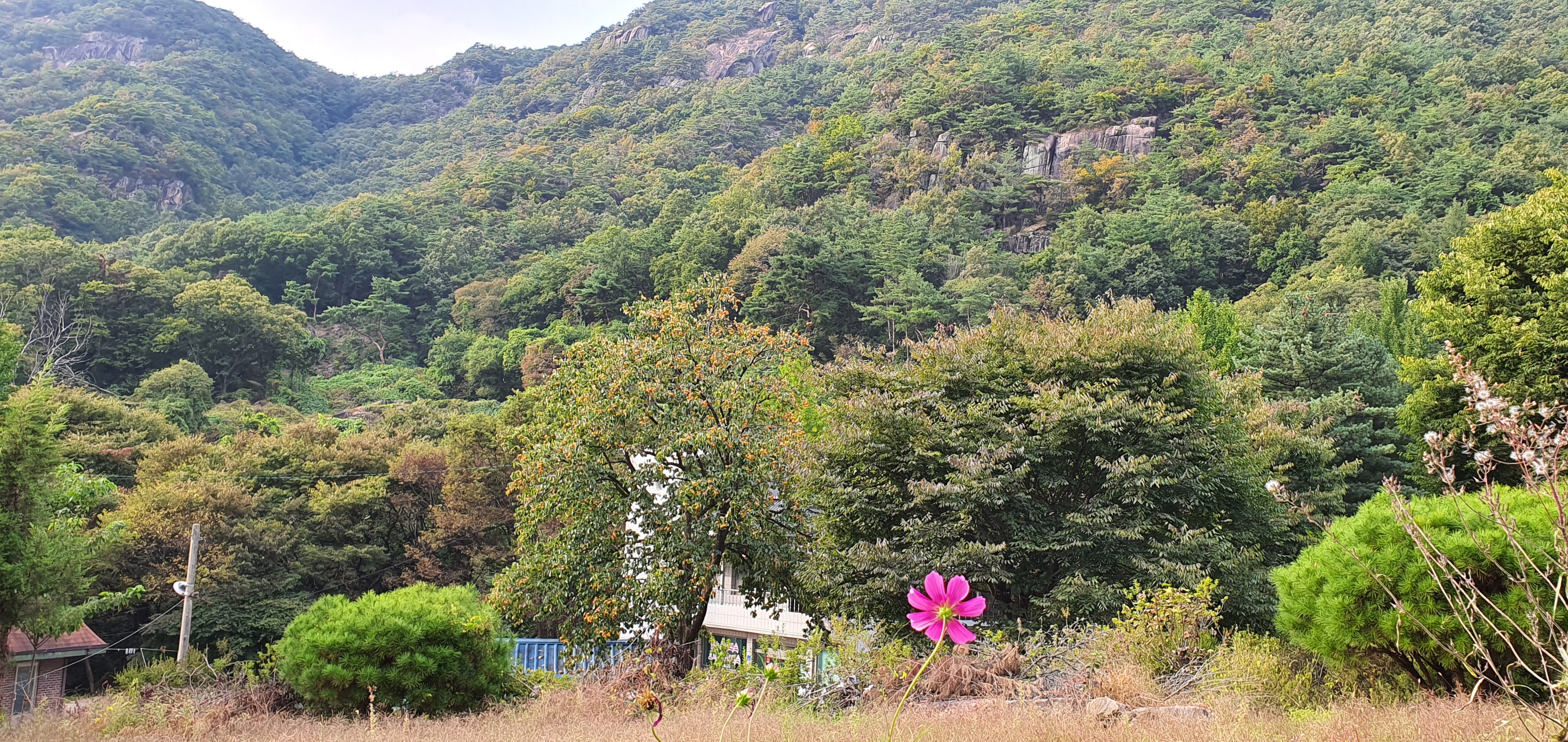 금수산가든민박 이미지