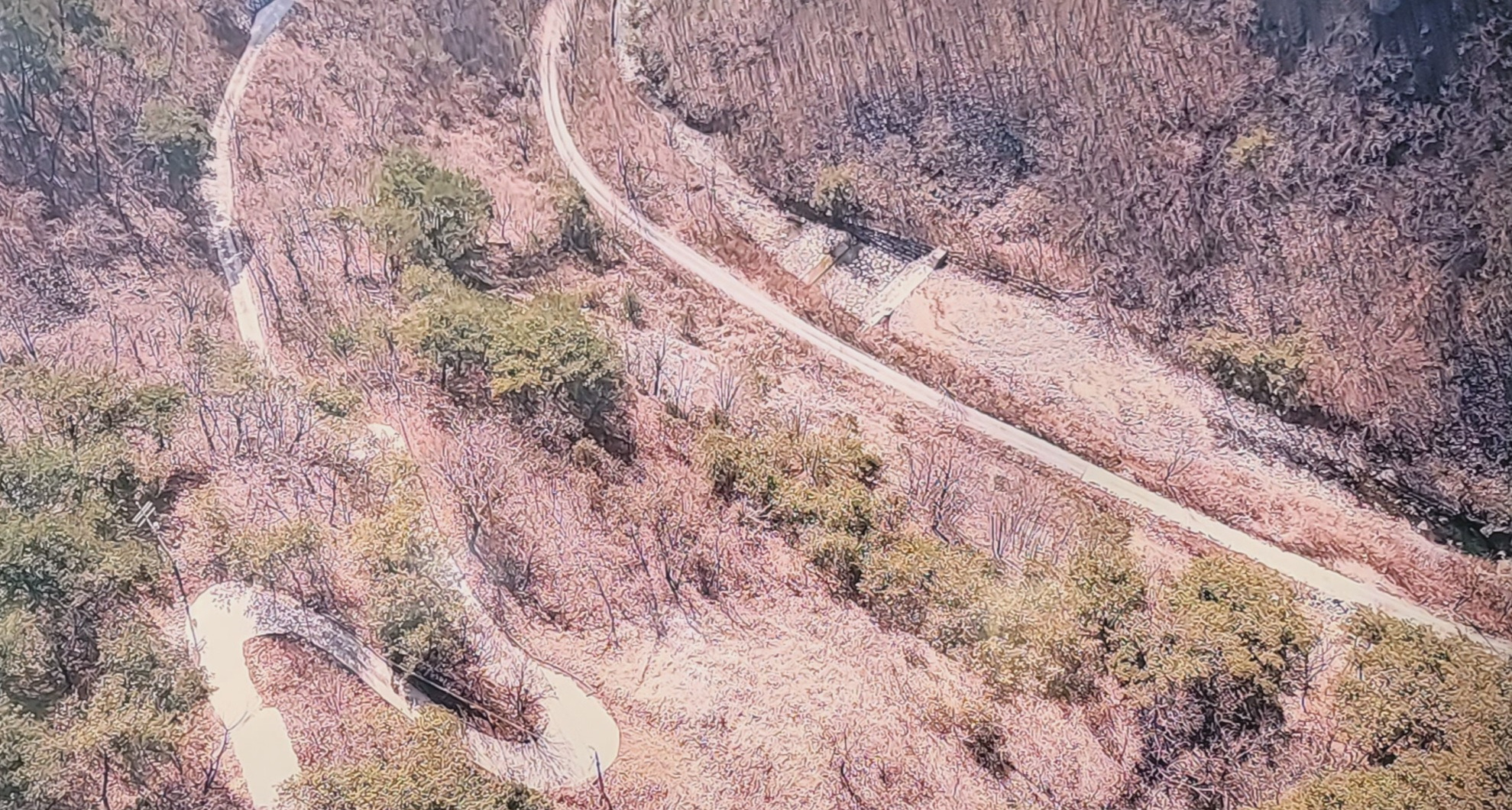 리틀포레스트 이미지