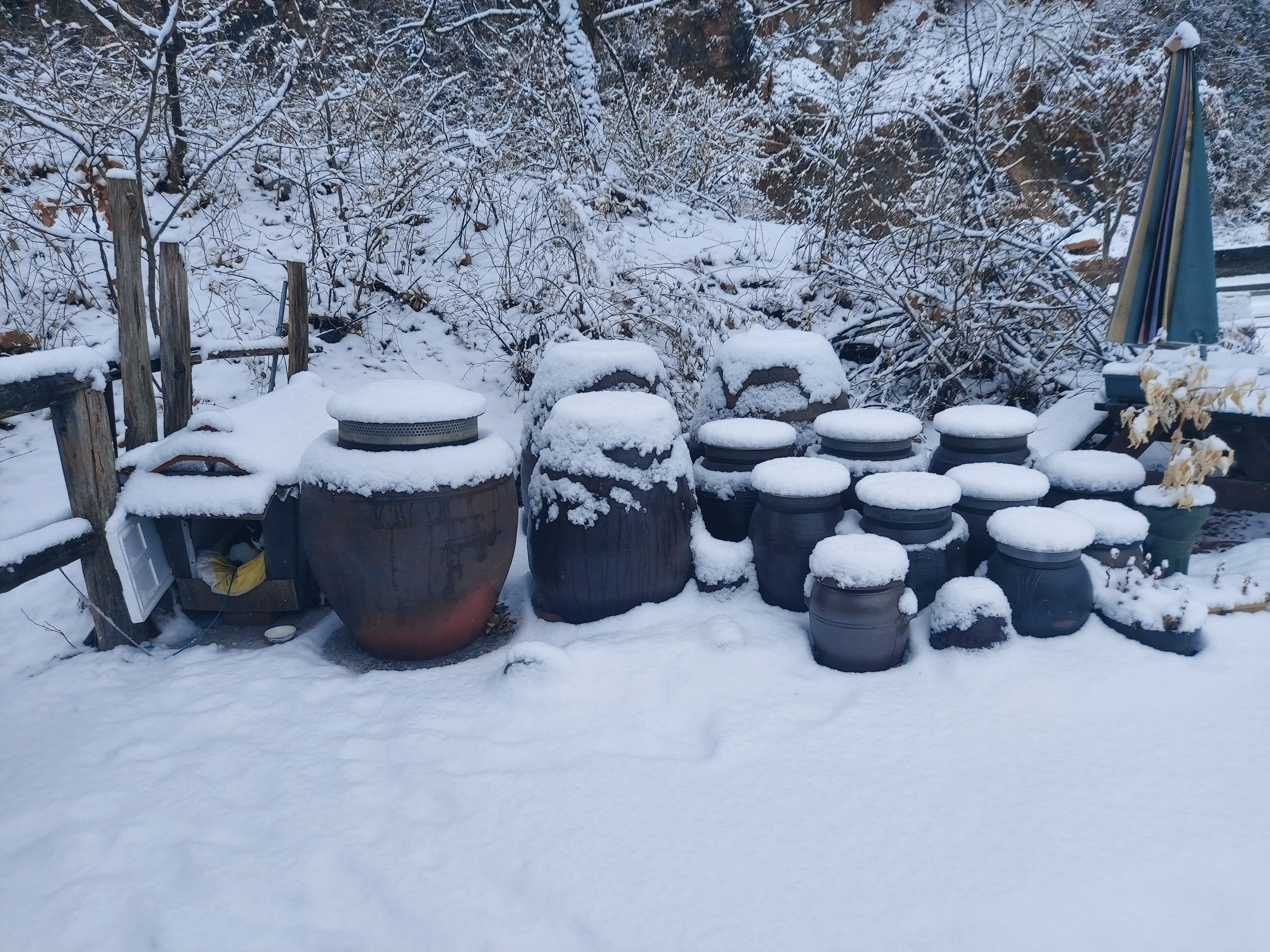 옛촌식당 이미지