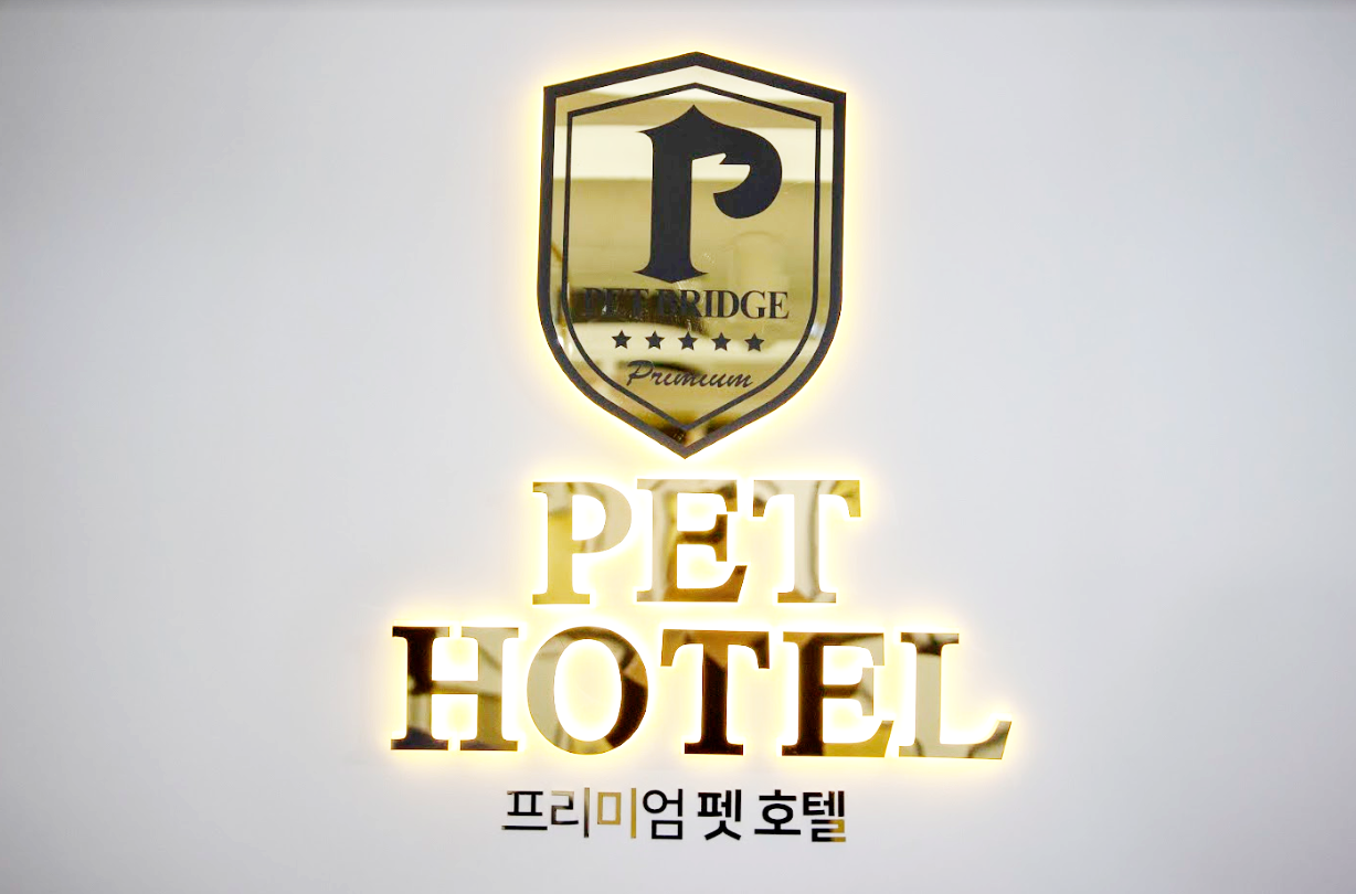펫브릿지 김해점