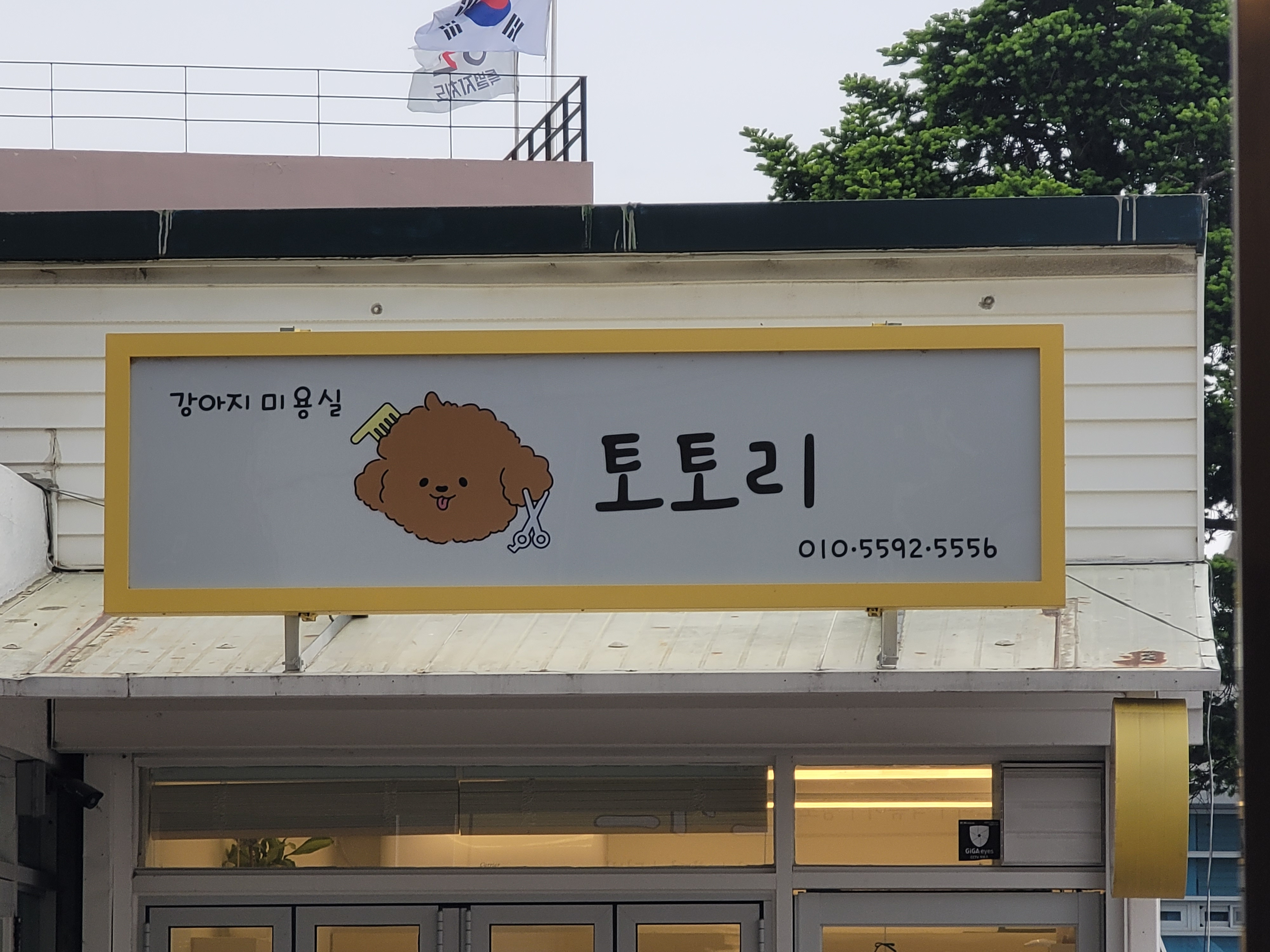 토토리