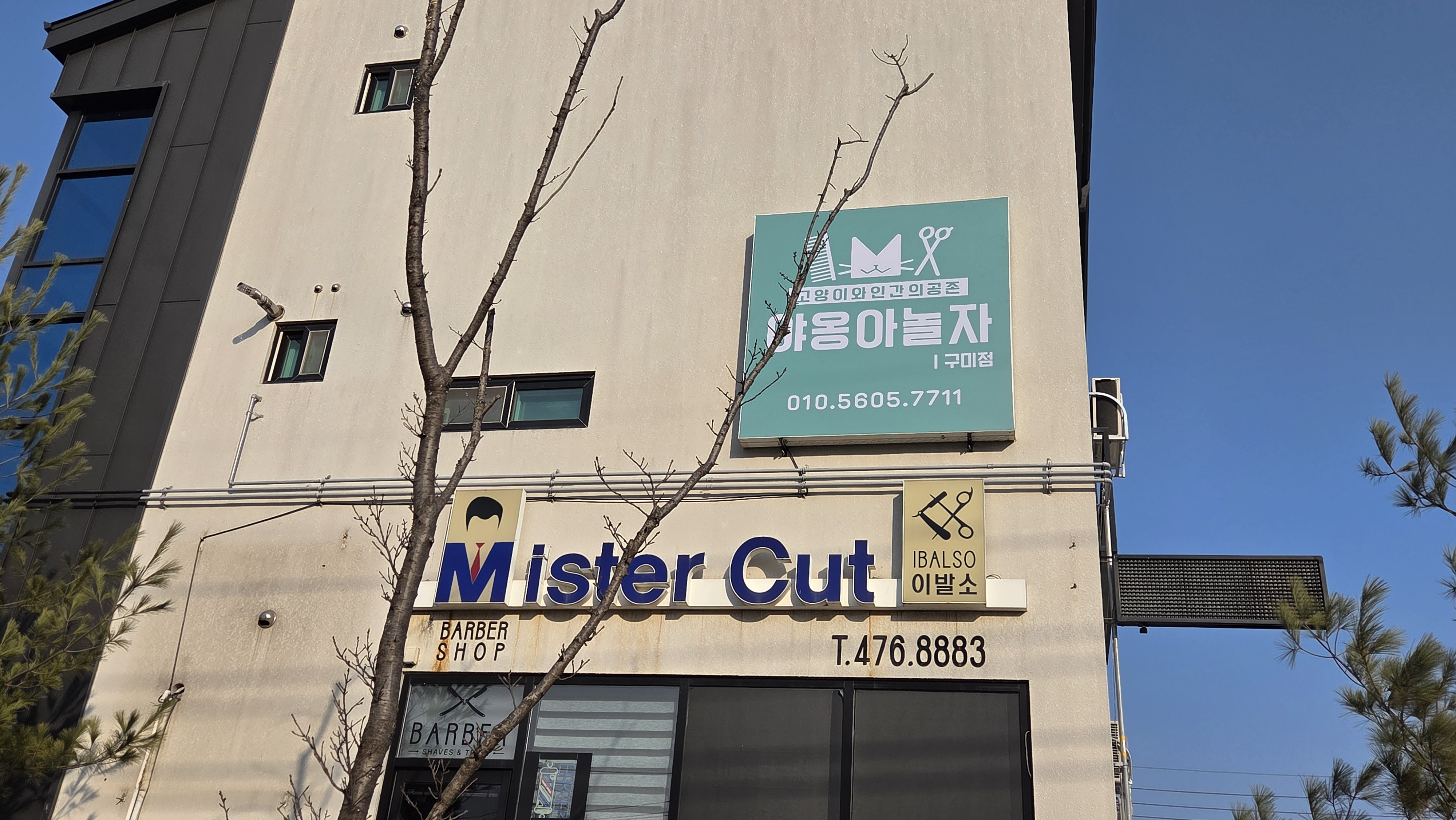 야옹아 놀자 구미점