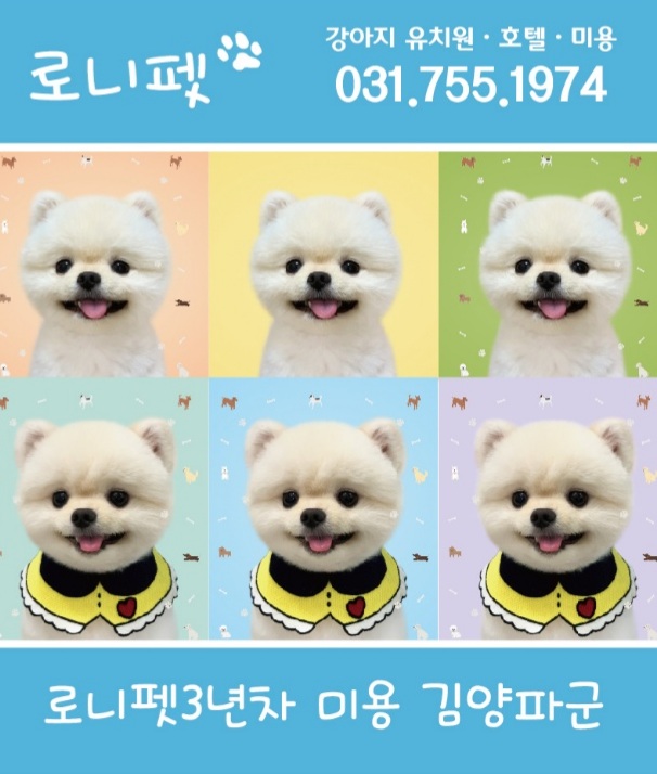 로니펫