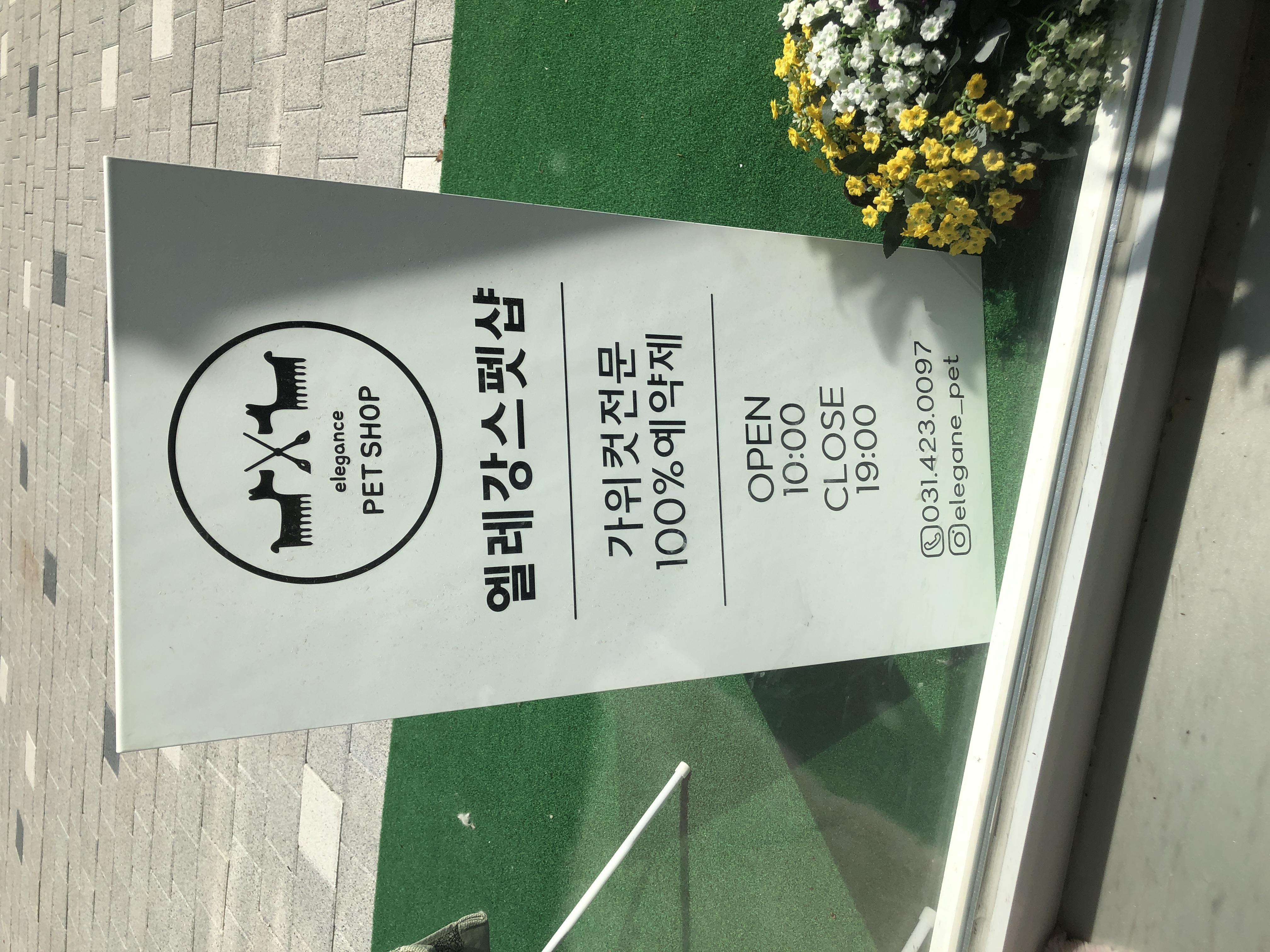 엘레강스 펫샵