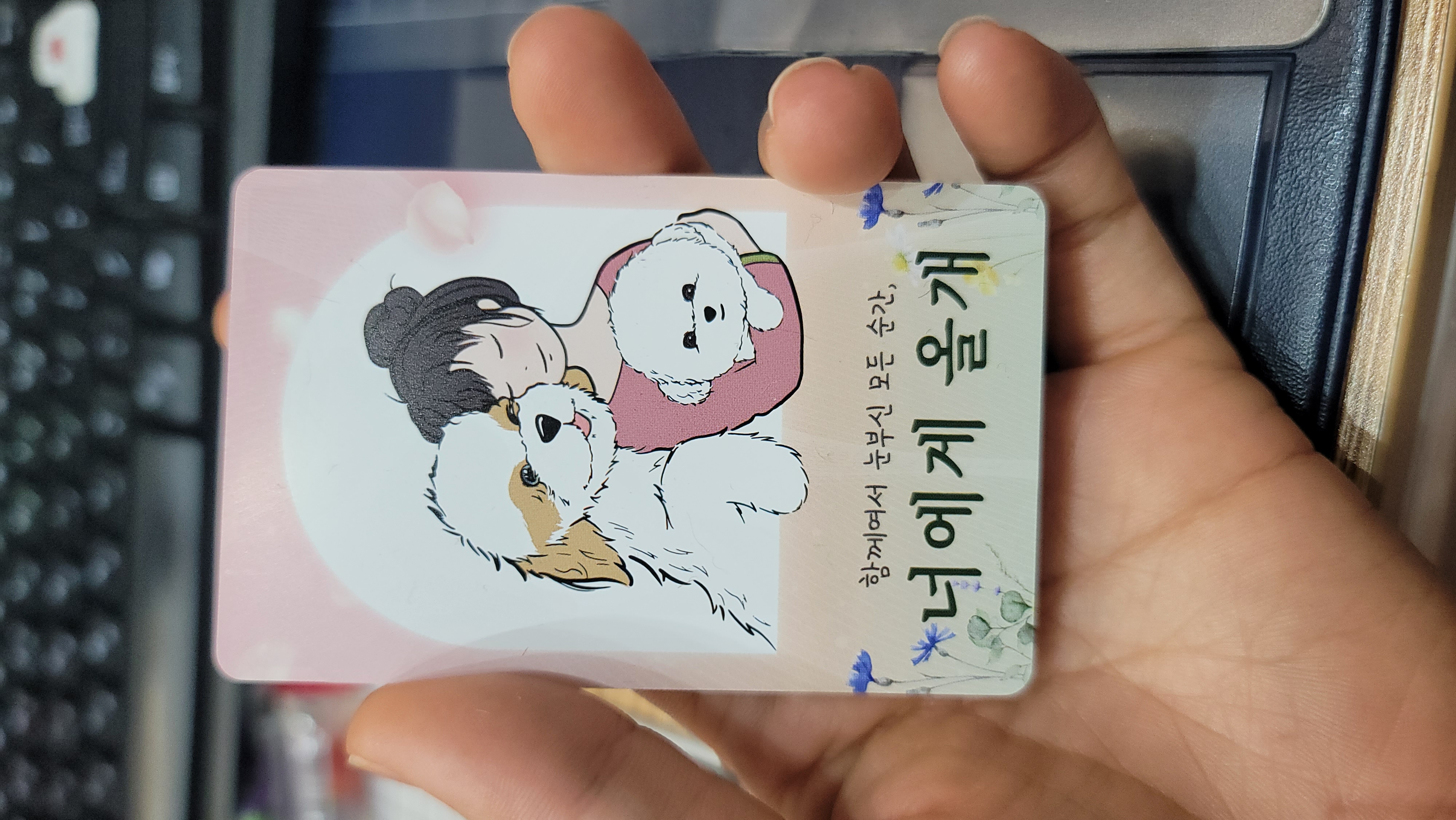 너에게 올개 너올살롱