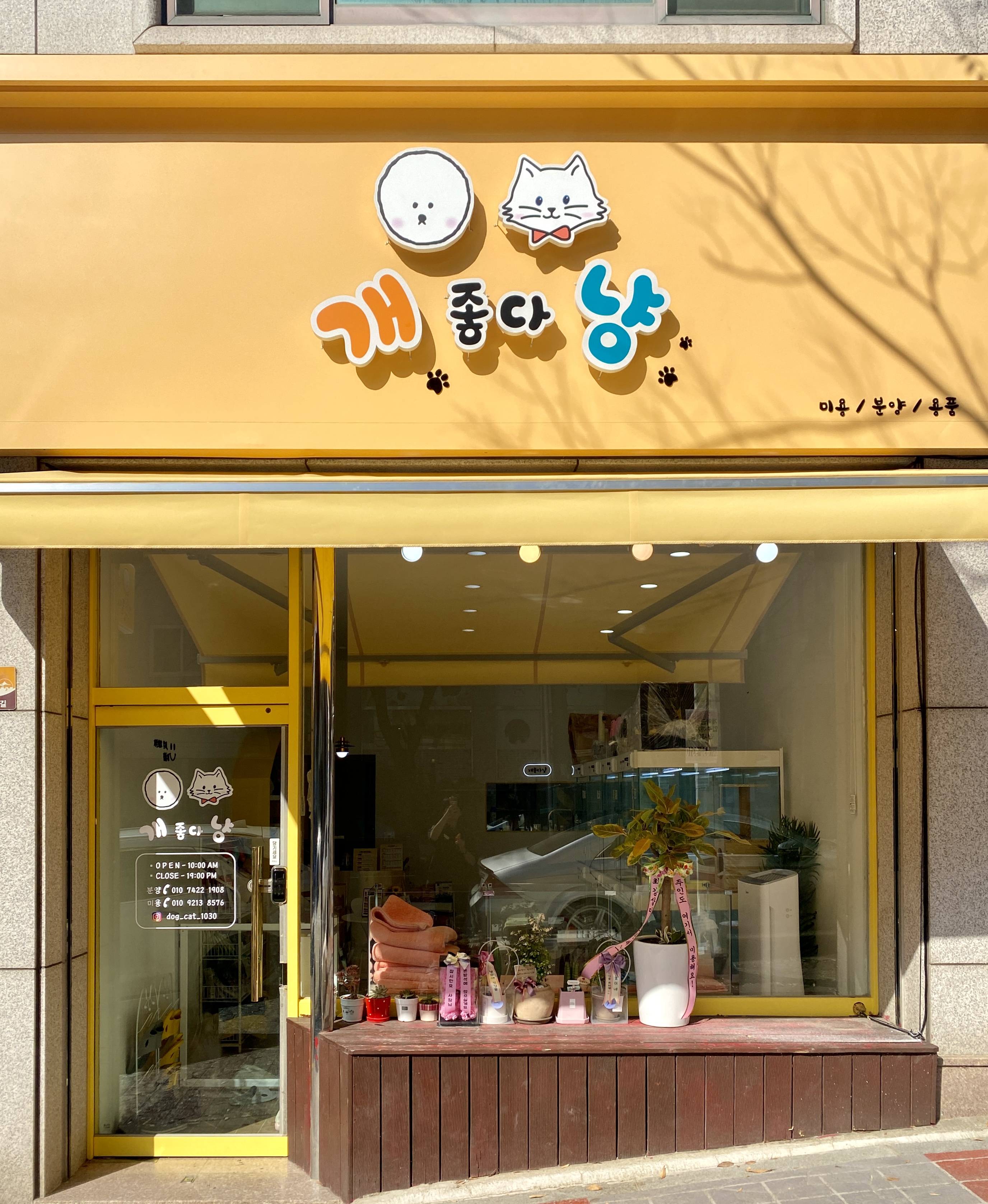 개좋다냥