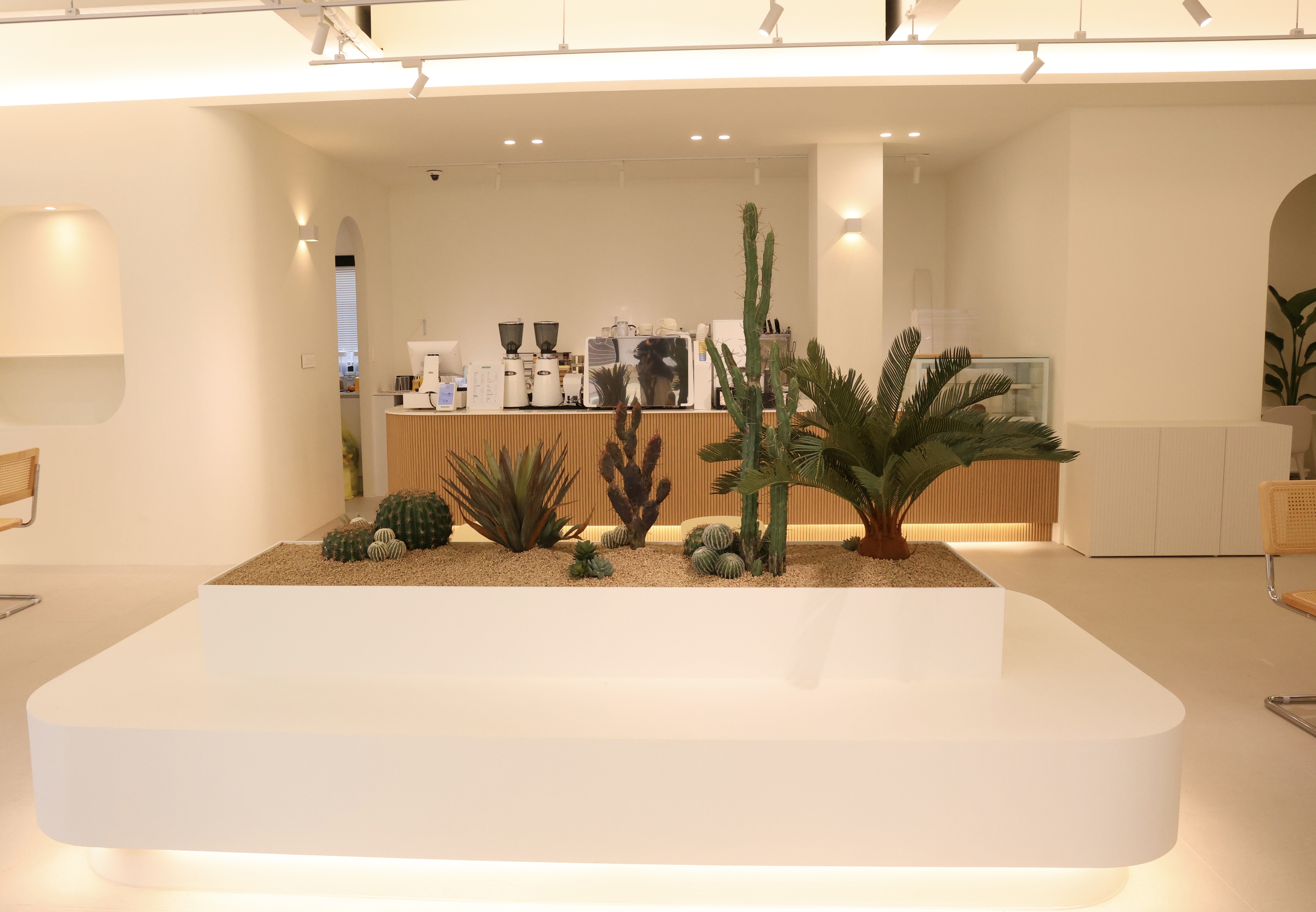 오아시스 이미지