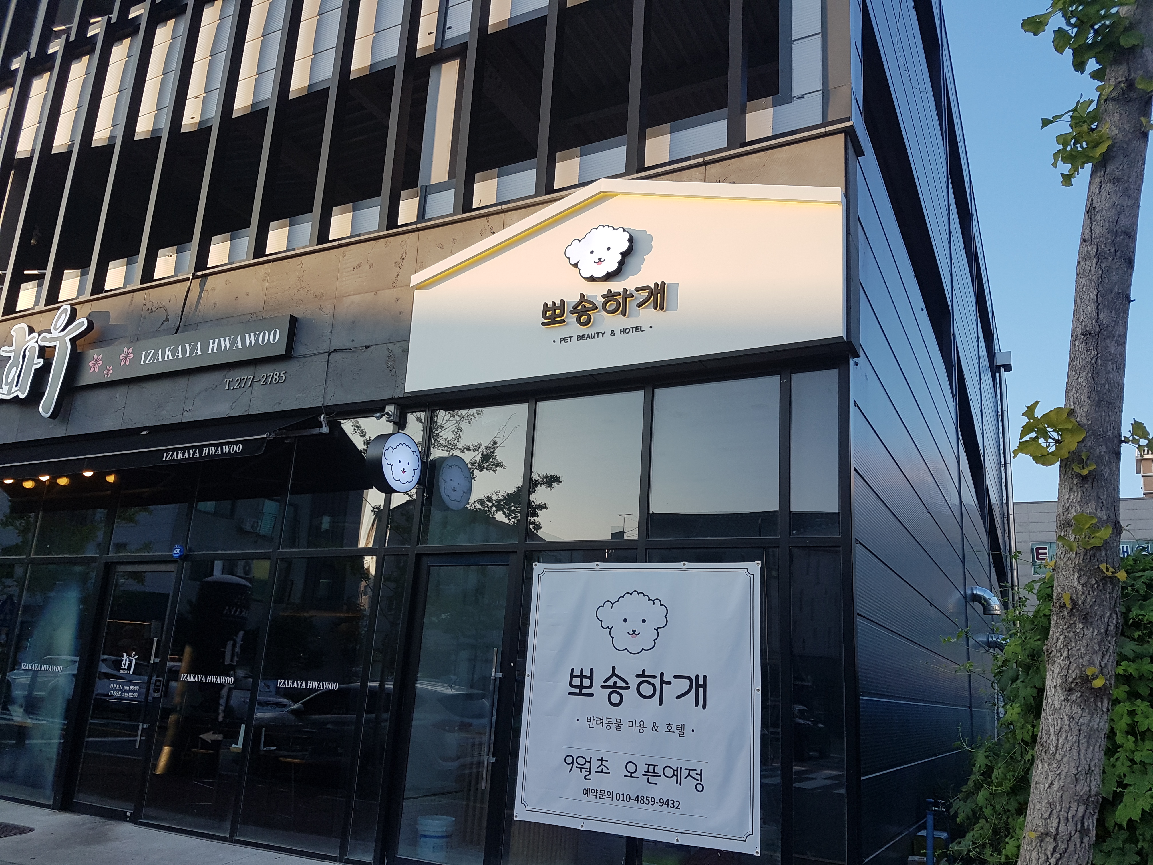 뽀송하개