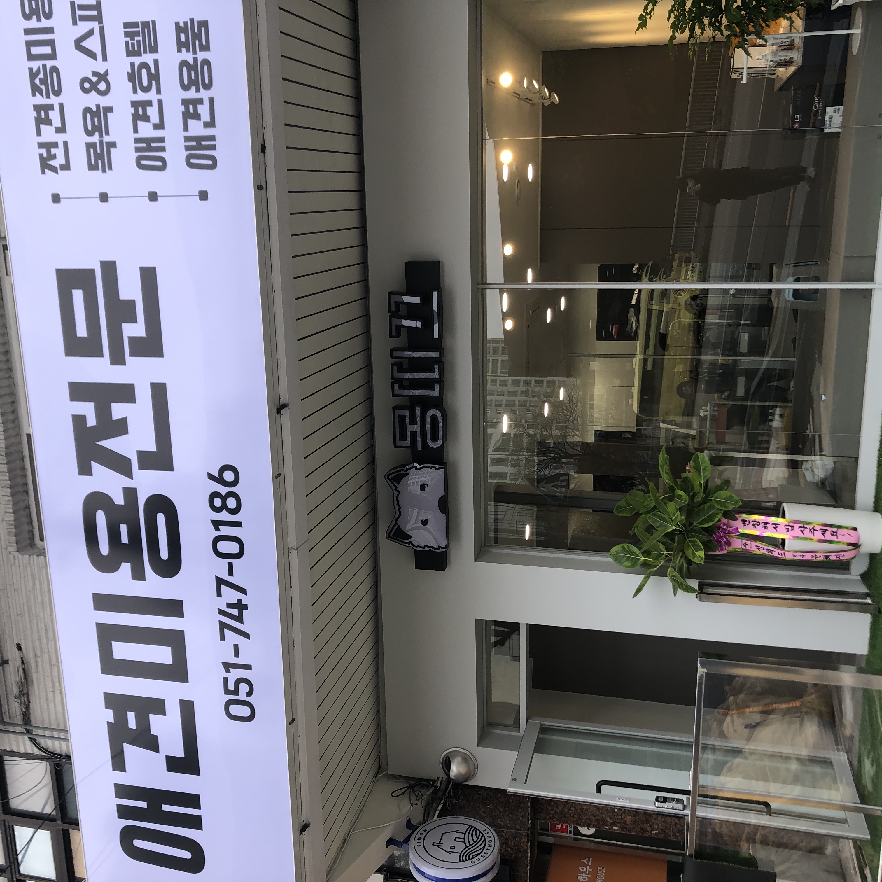 몽띠끄