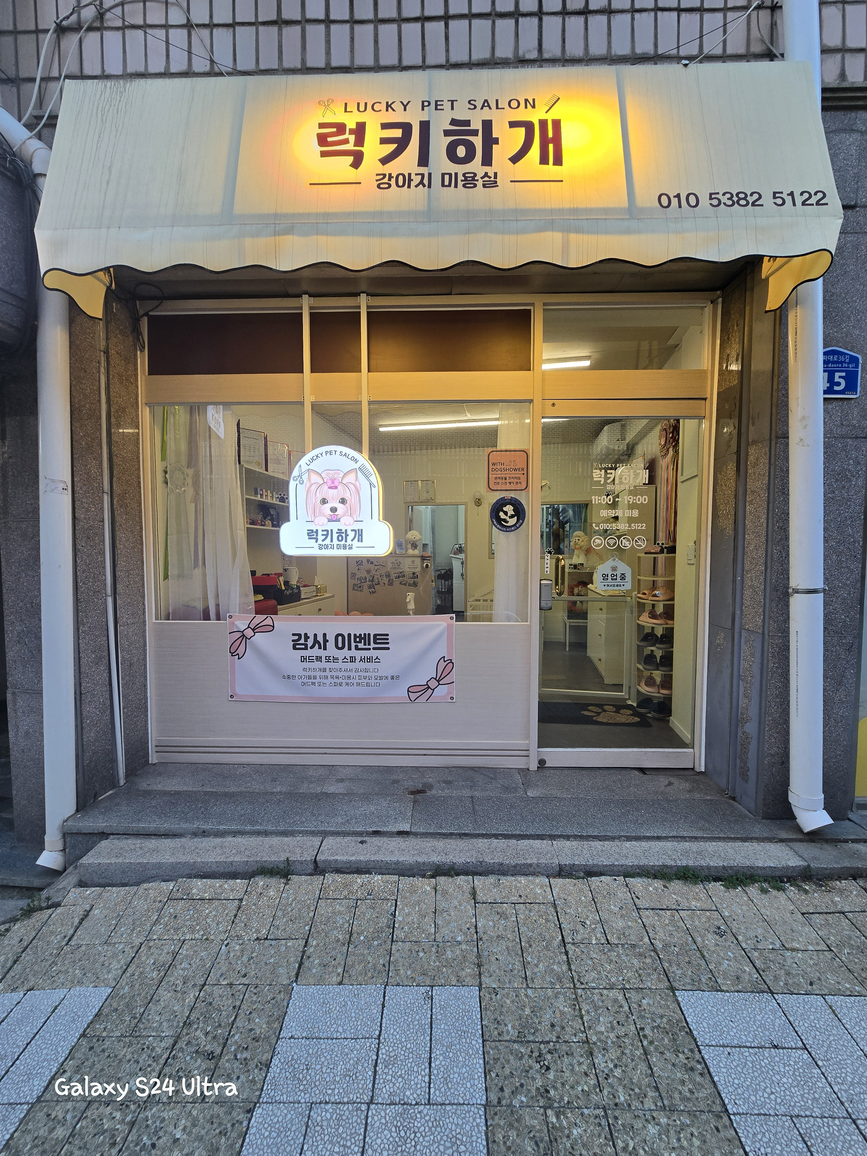 럭키하개 애견미용실