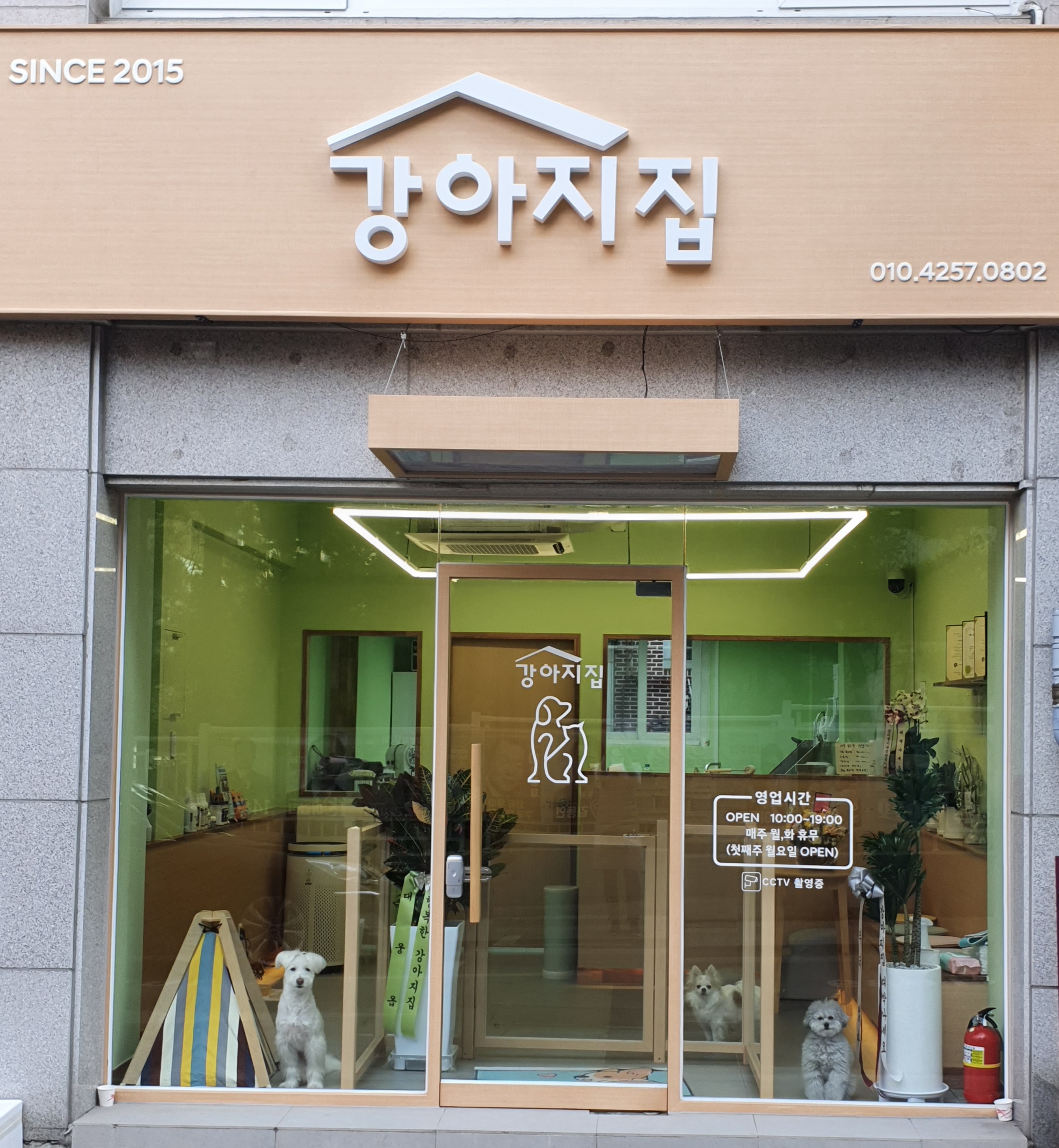 강아지집