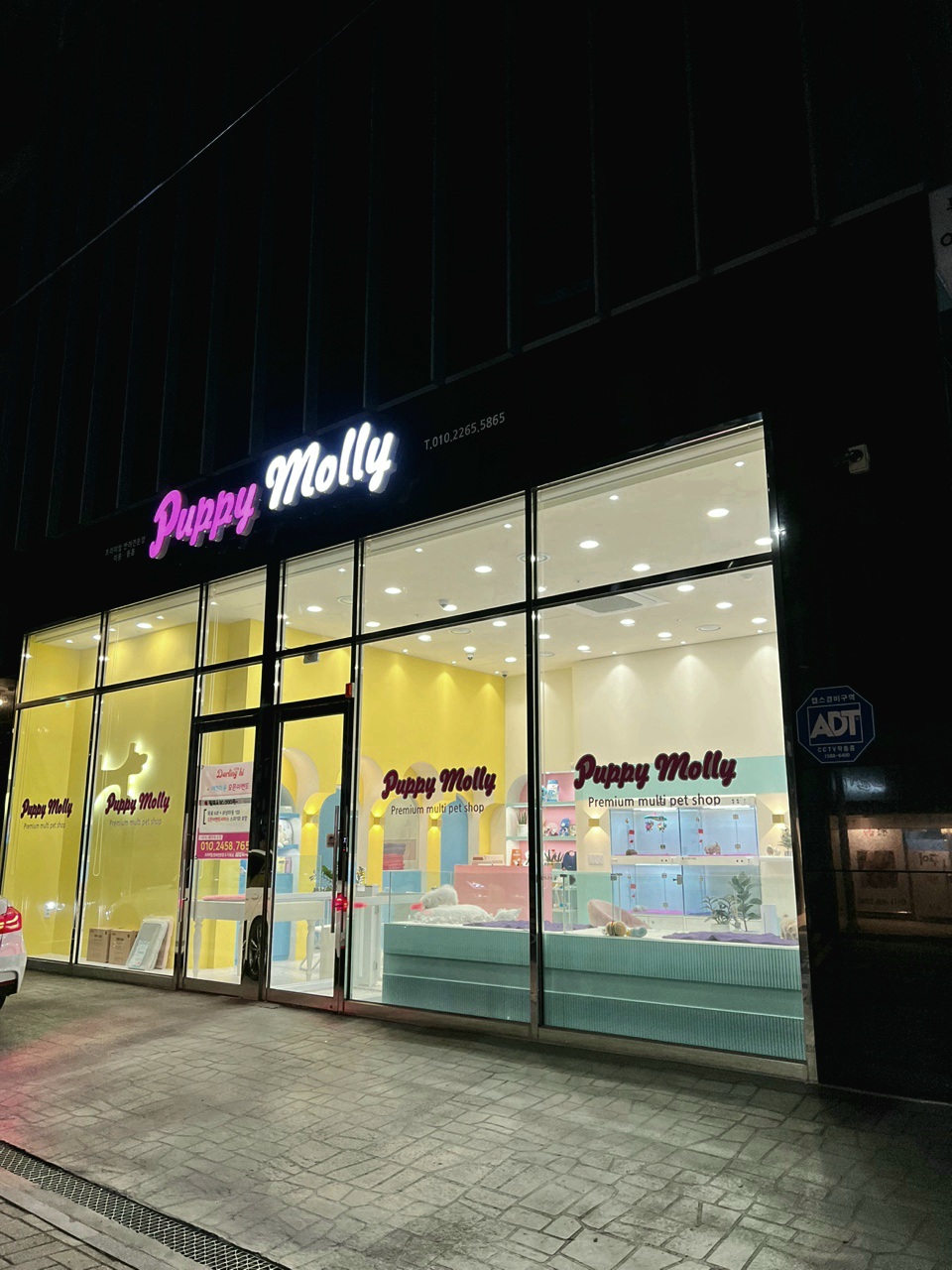부산강아지분양 퍼피몰리