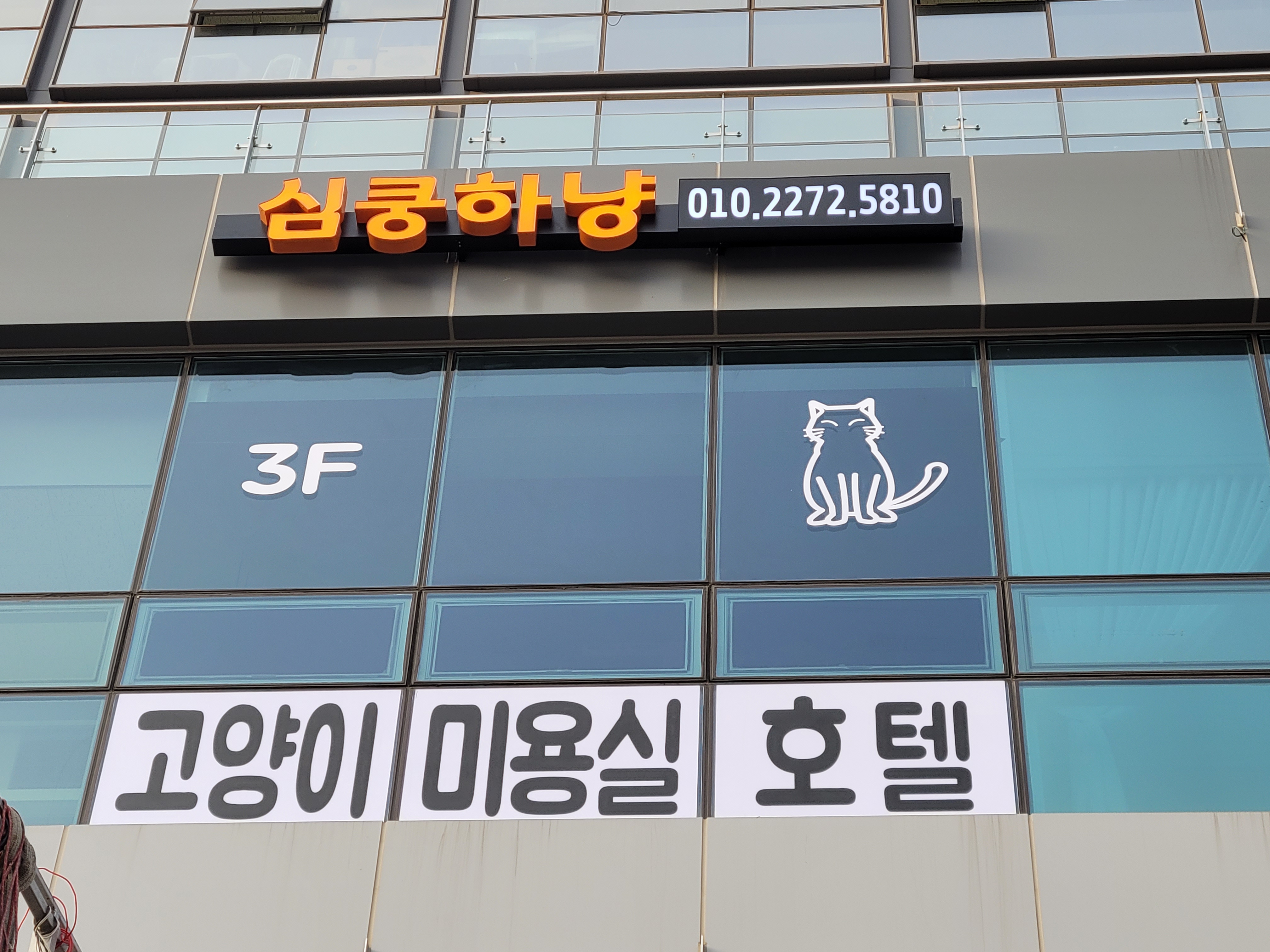 심쿵하냥