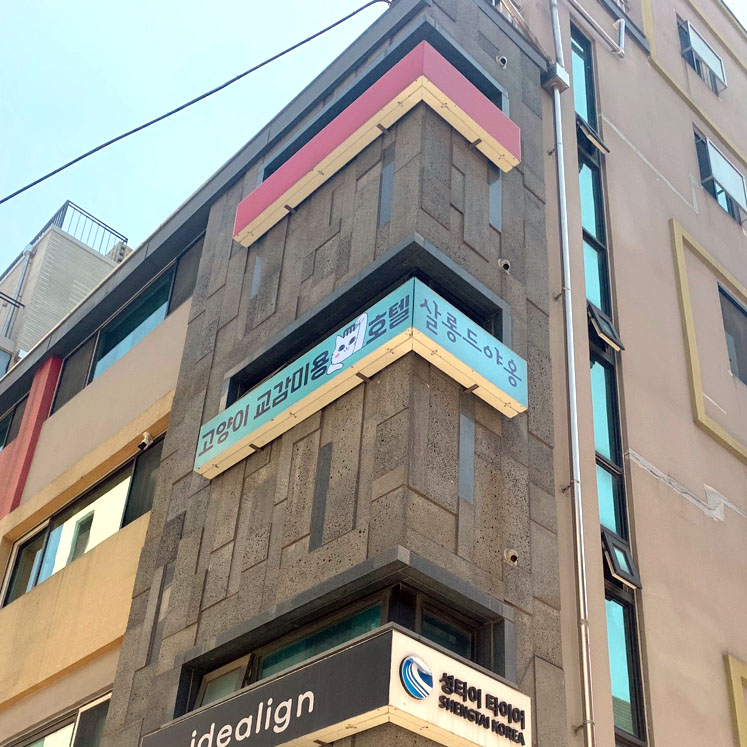 살롱드 야옹