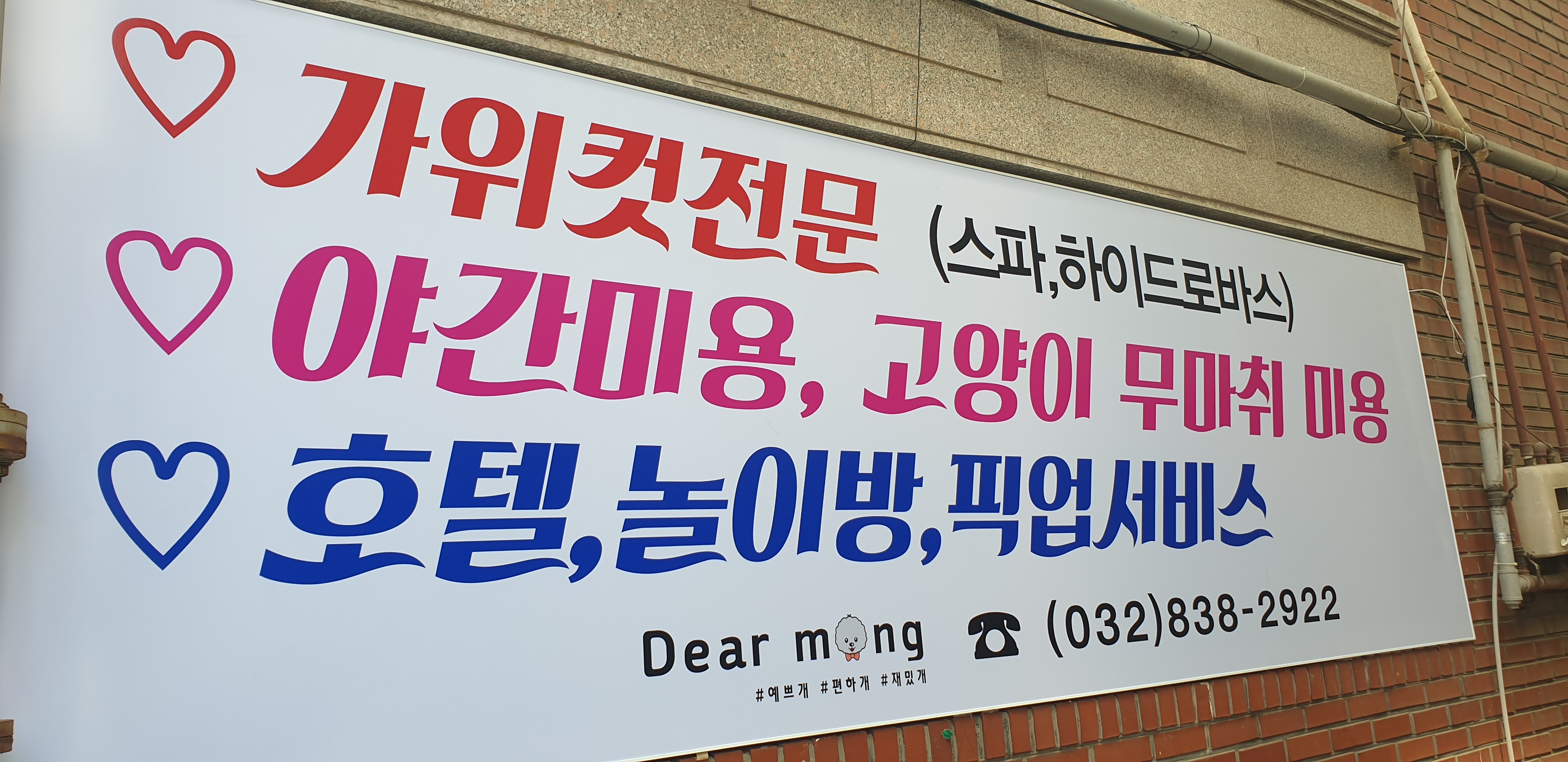디어몽
