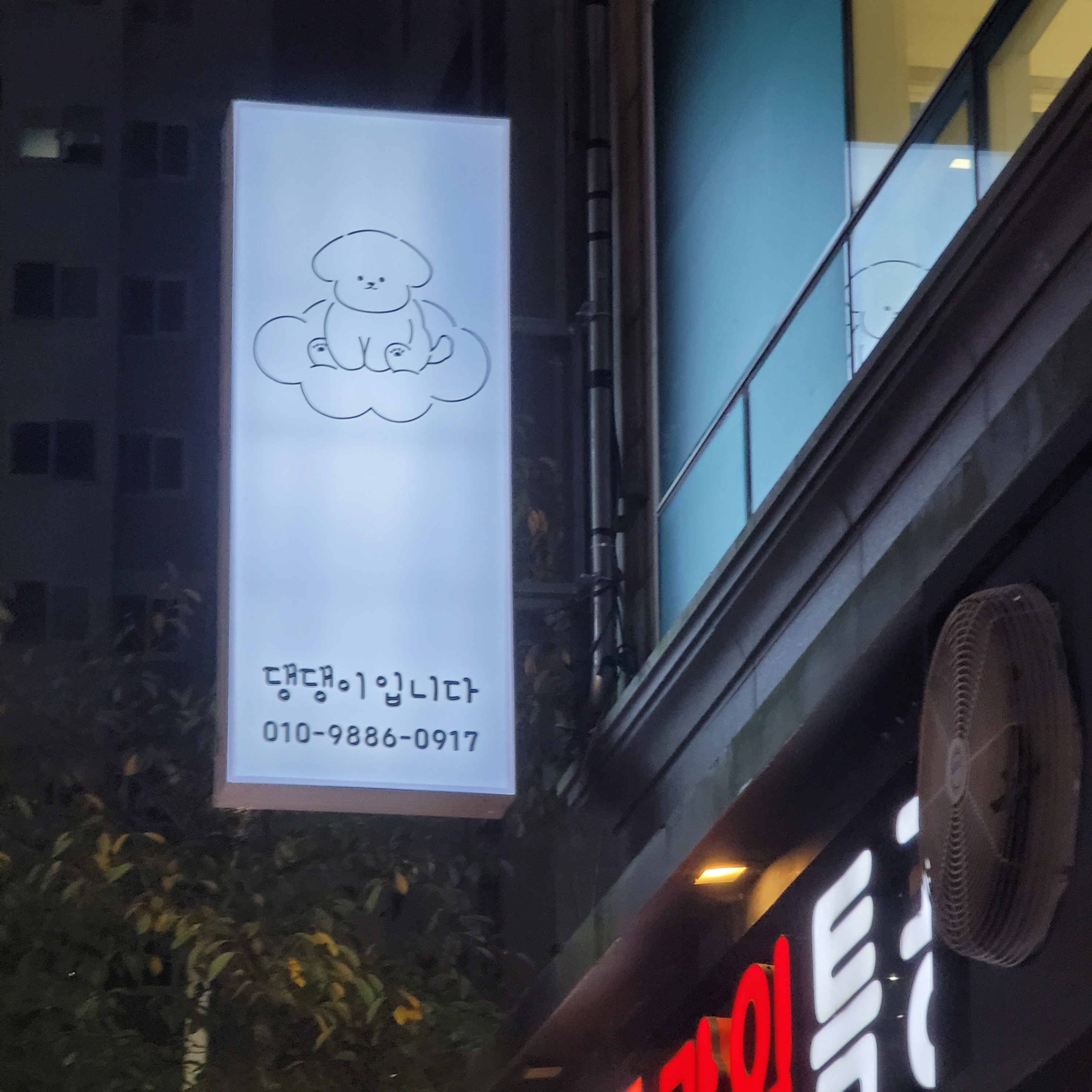 댕댕이입니다