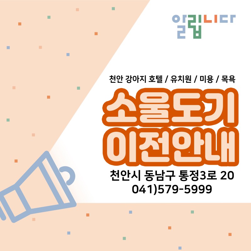 소울도기
