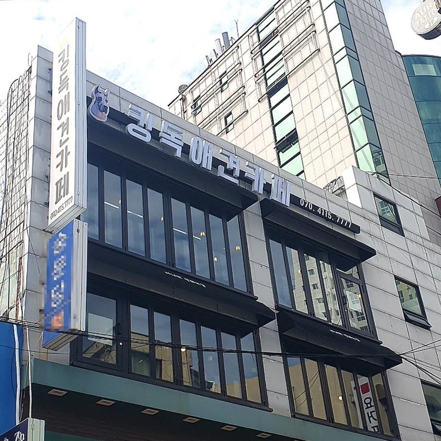 킹독