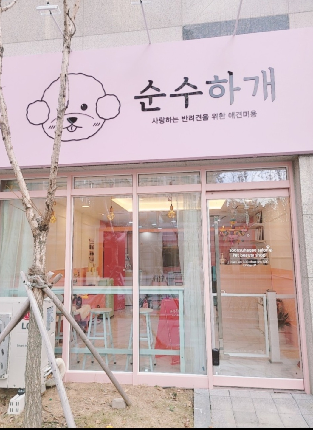 순수하개