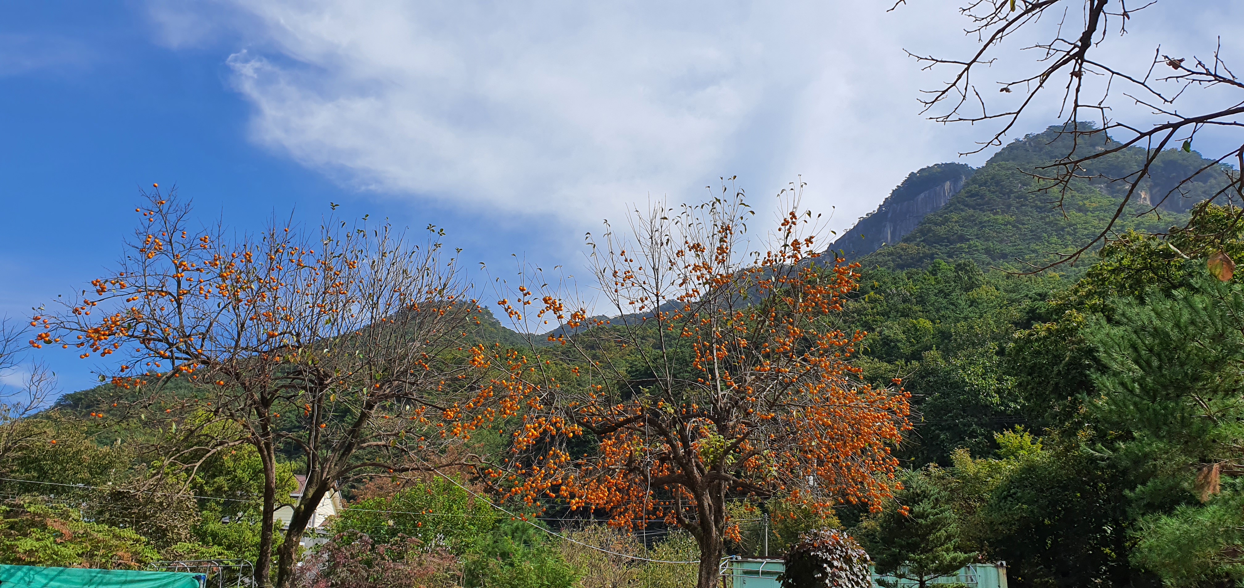 금수산가든민박 이미지