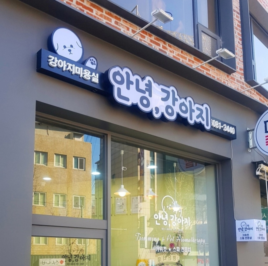 안녕강아지