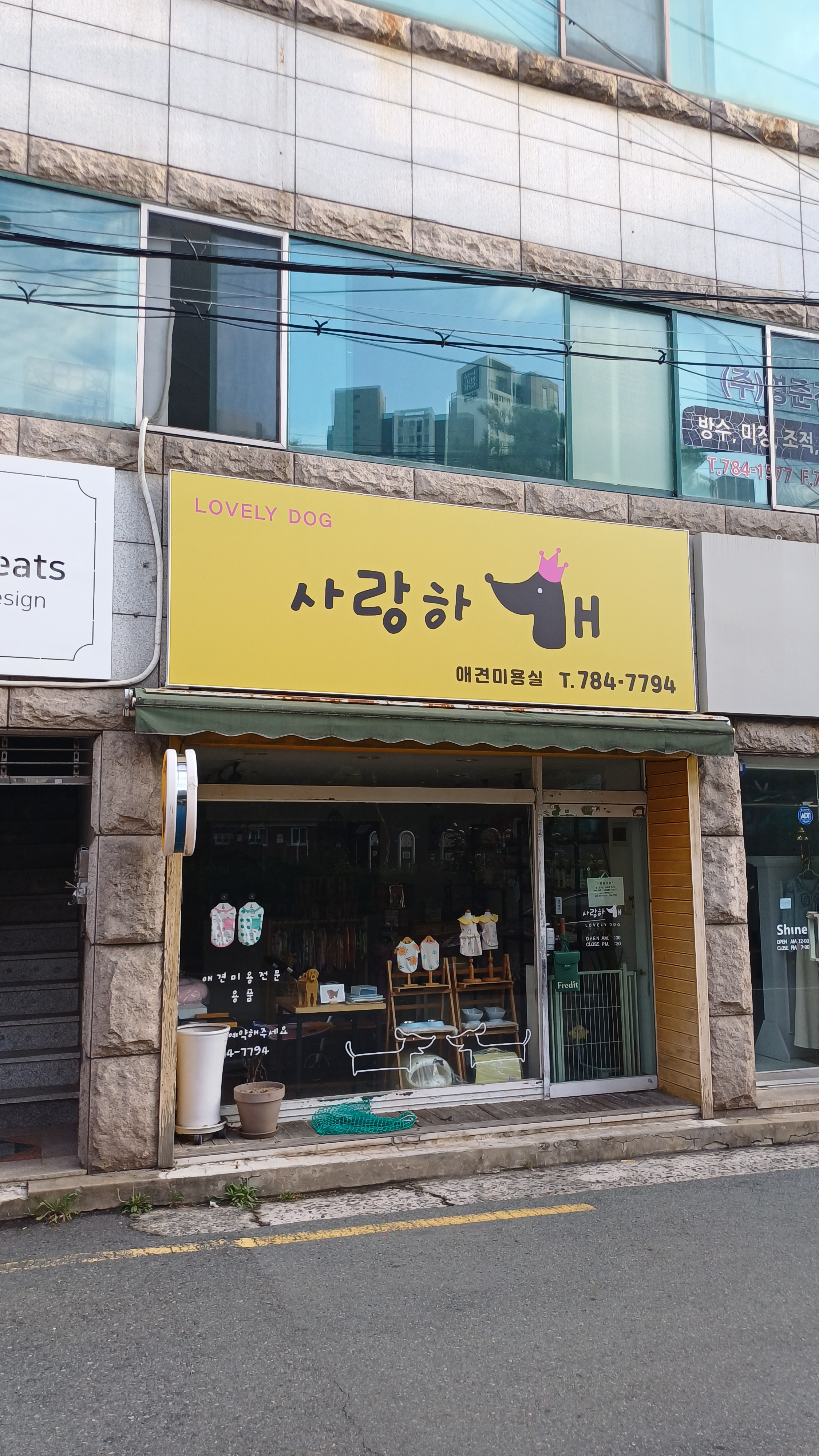 사랑하개