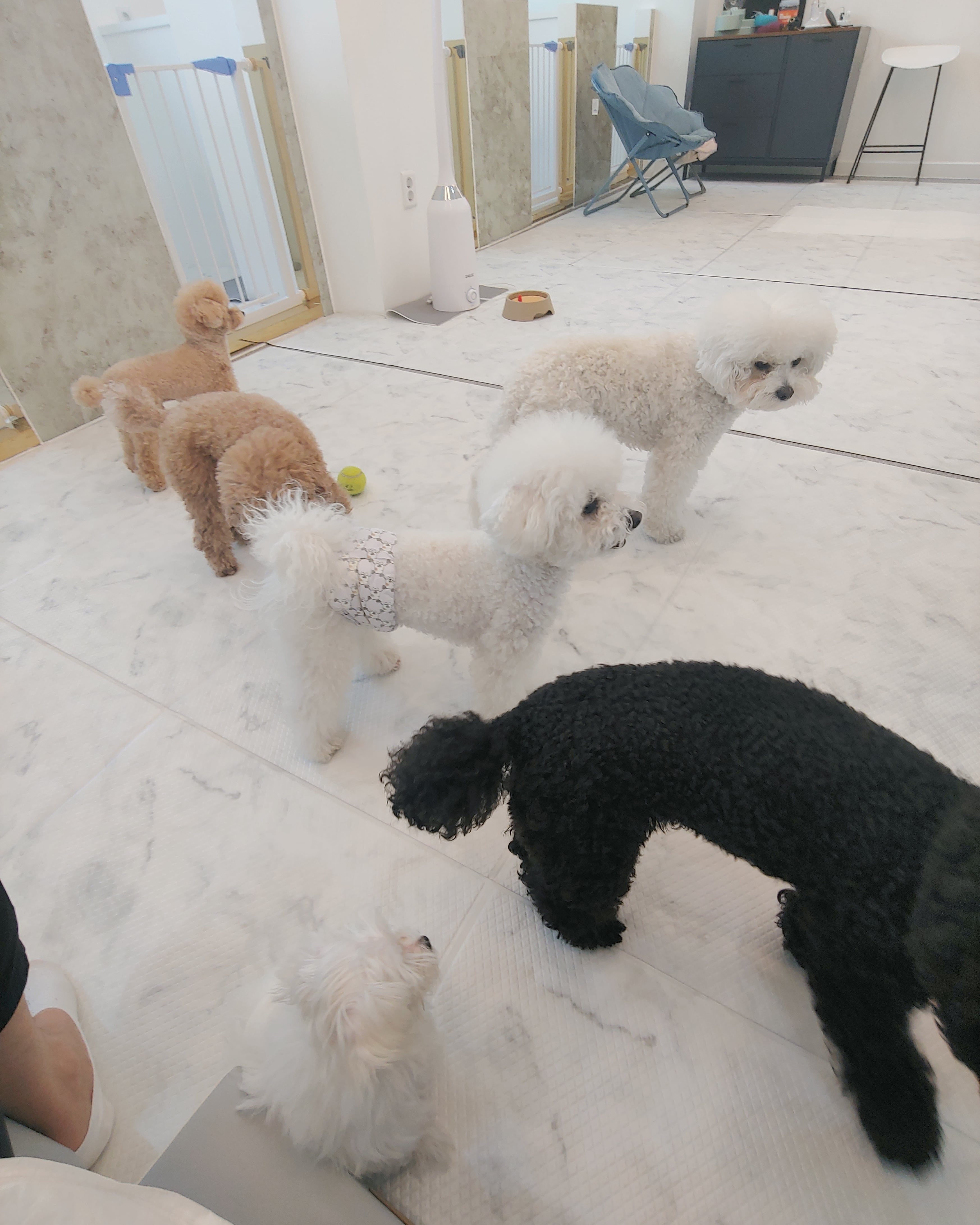그루밍하우스