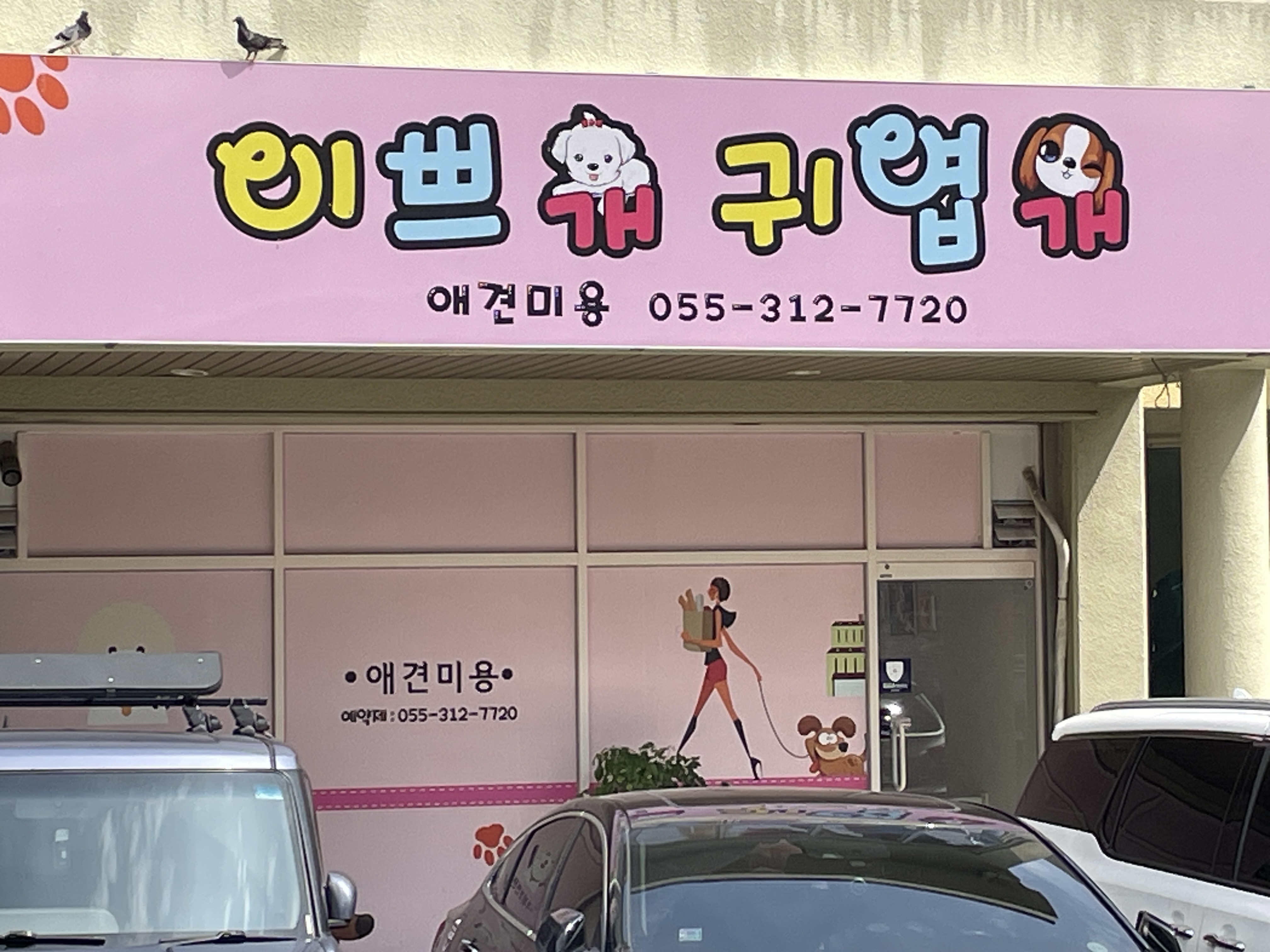 이쁘개 귀엽개