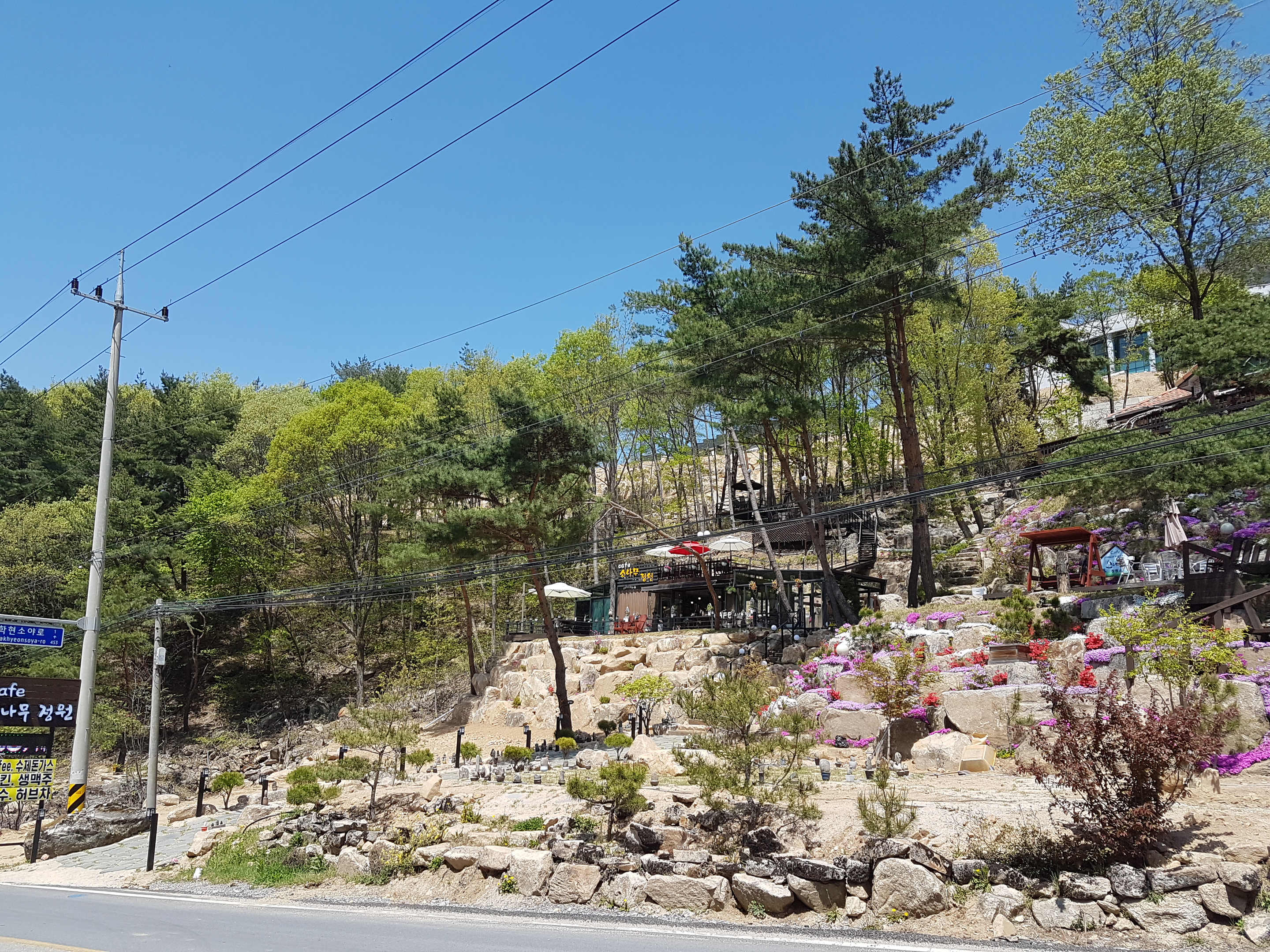 소나무정원화덕피자 이미지