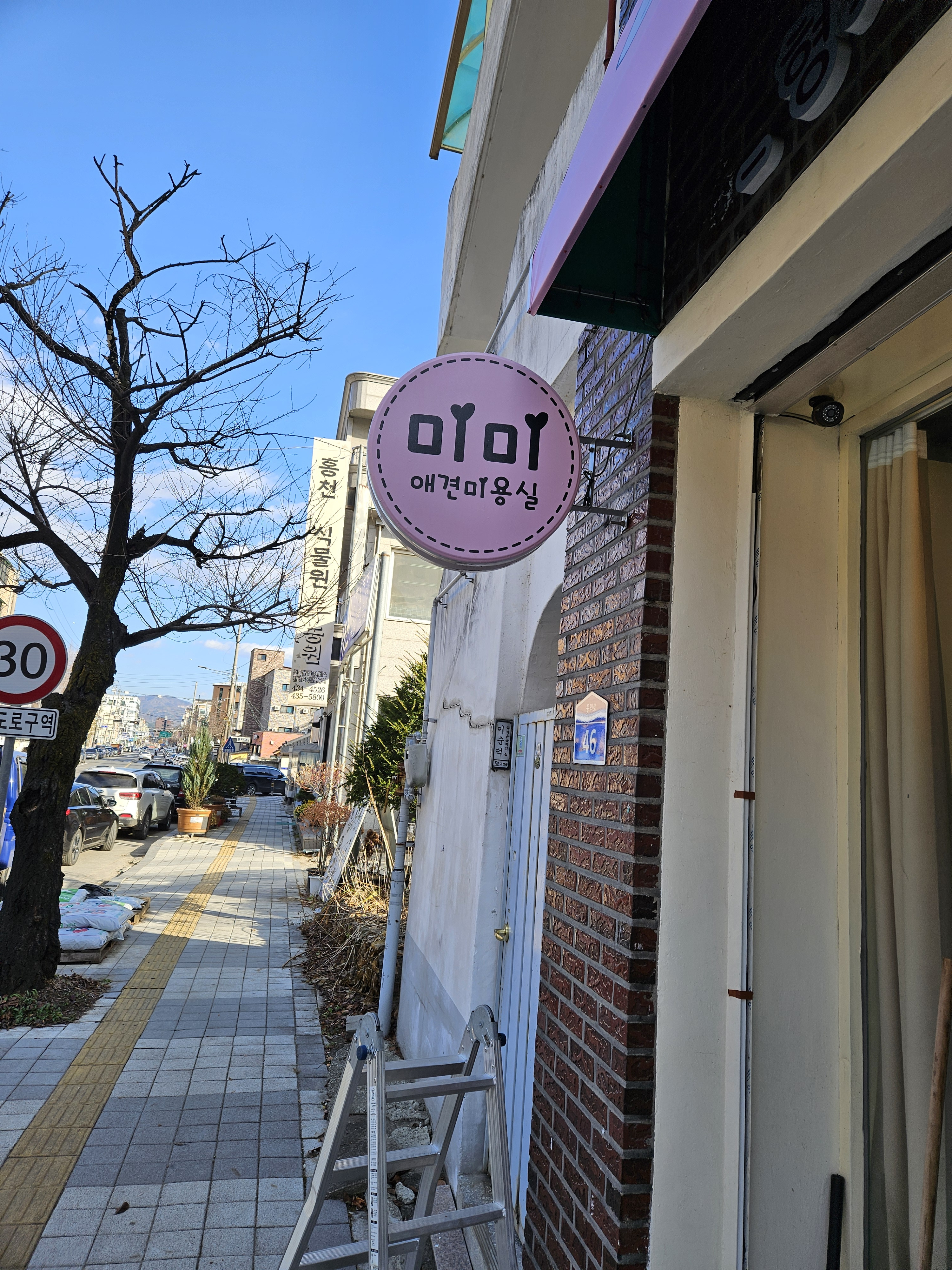 미미애견