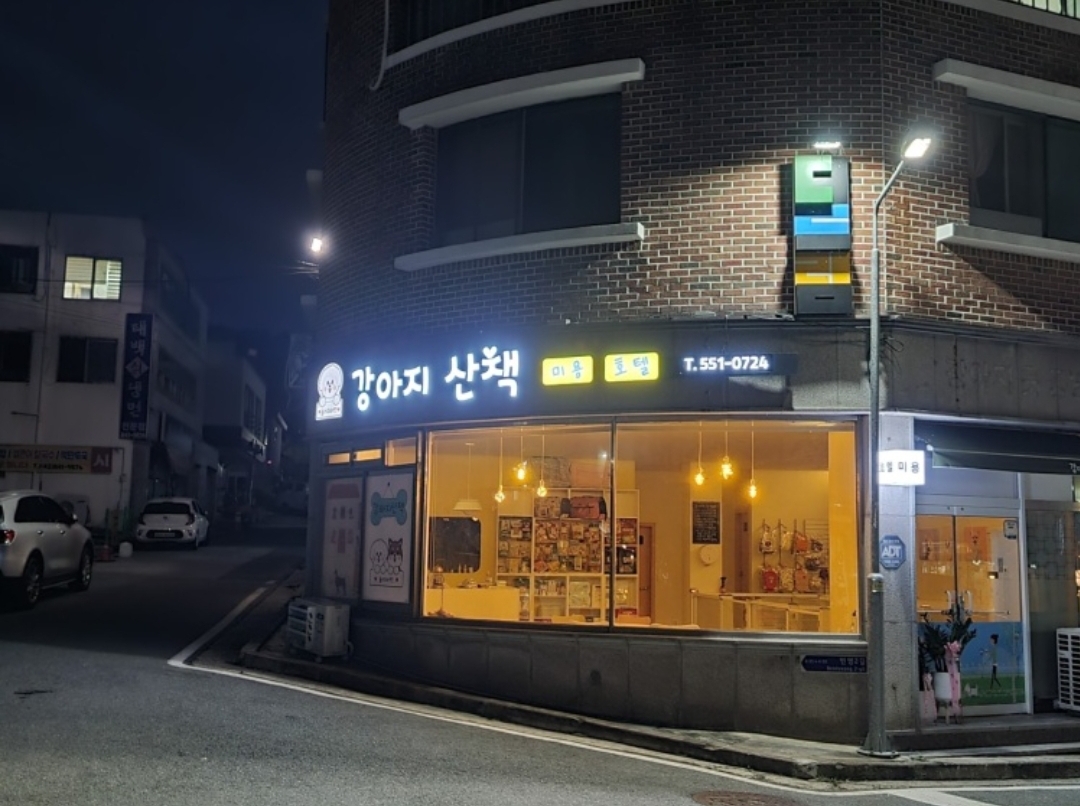 강아지산책